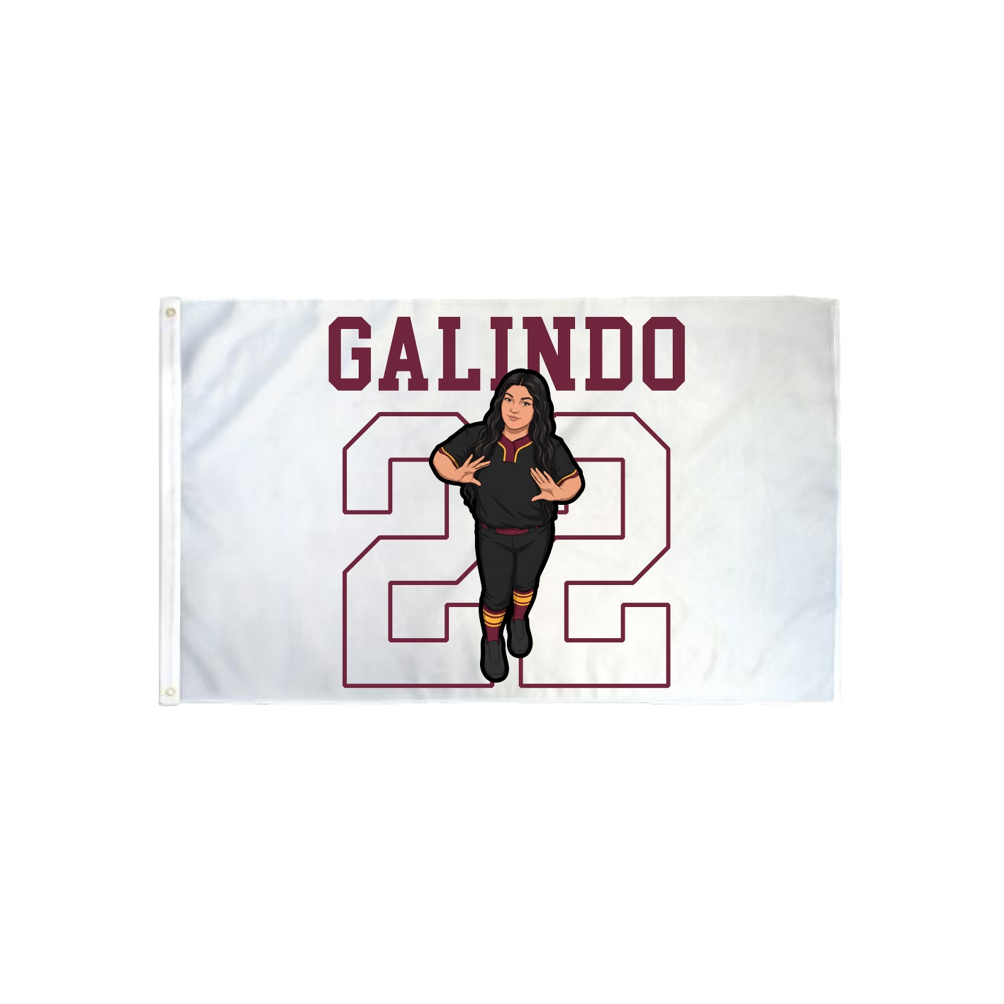 3x5 Flag — Shirsey in Classic