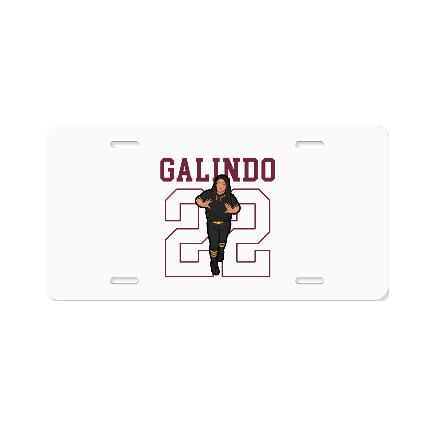 Aluminum License Plate