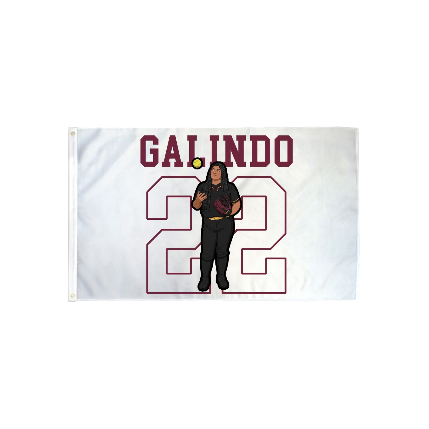 3x5 Flag — Shirsey in Classic