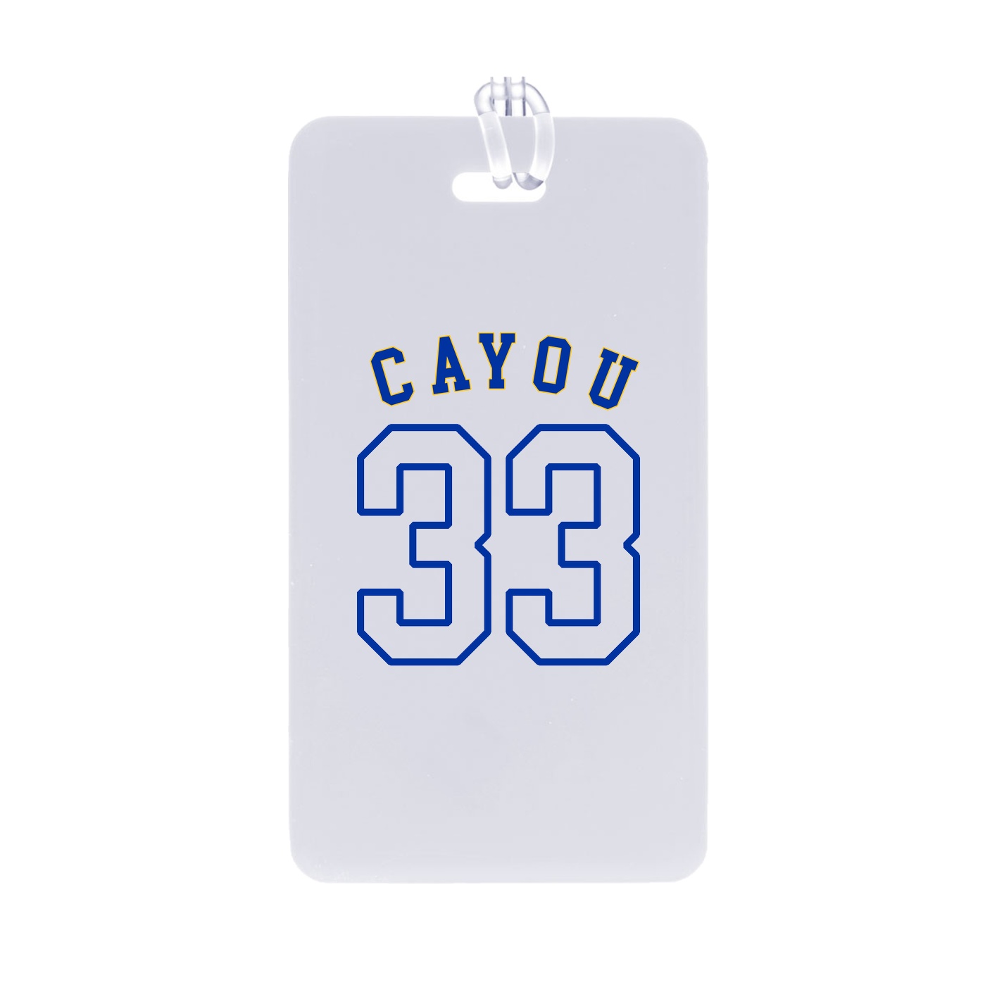 Bag Tag — Shirsey Arch in Classic