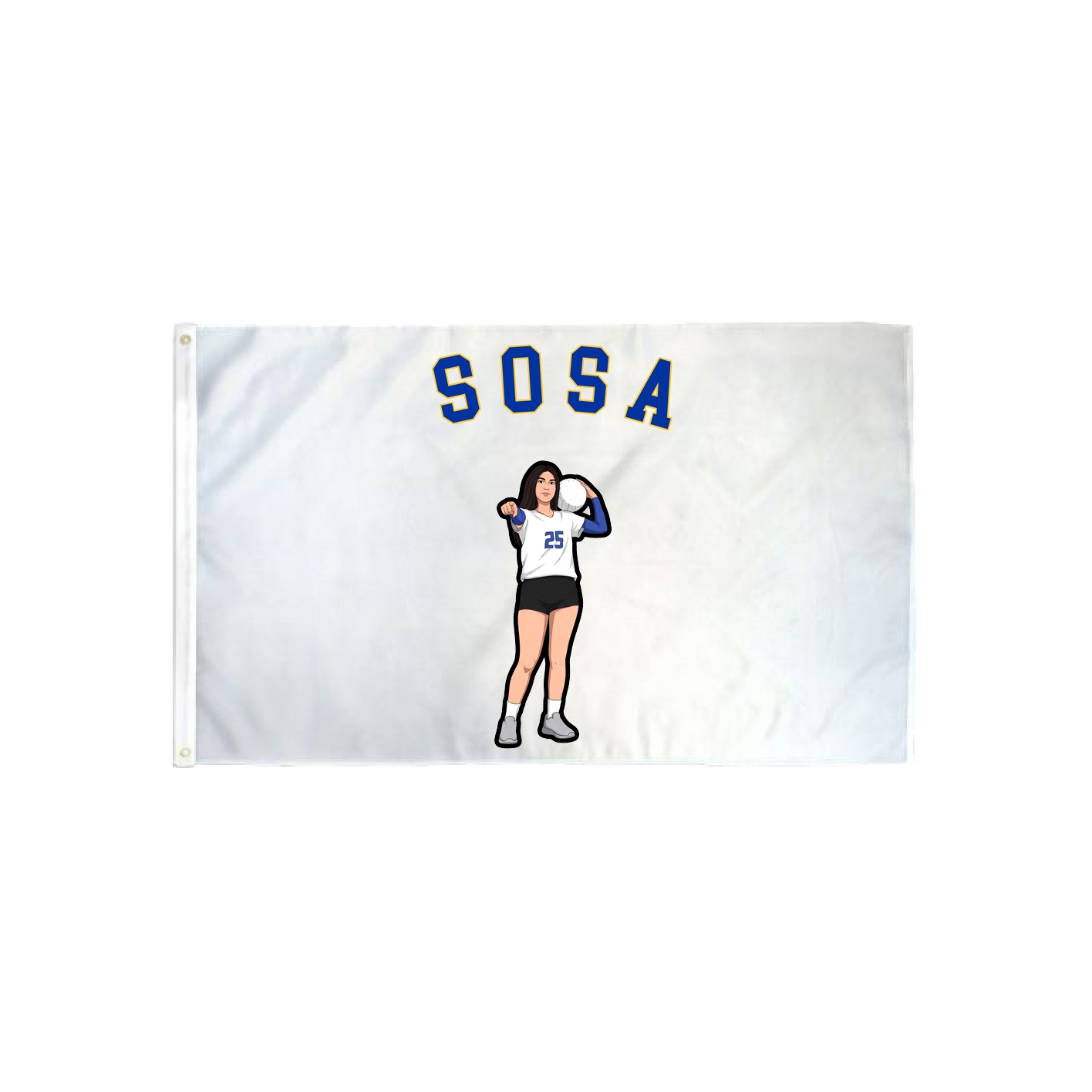 3x5 Flag — Shirsey Arch in Classic