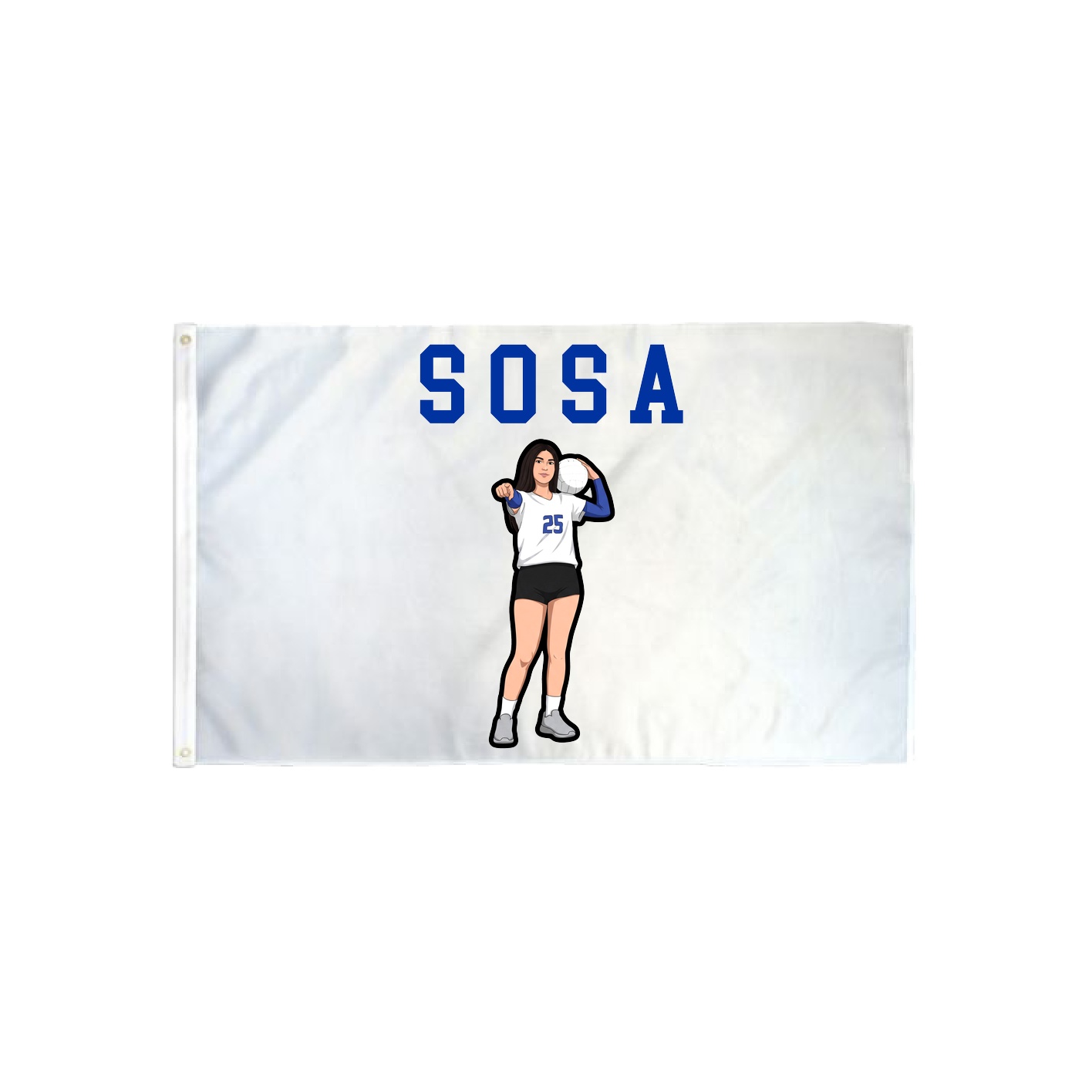 3x5 Flag — Shirsey in Classic