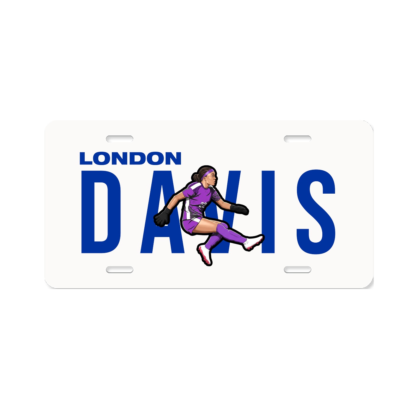 License Plate