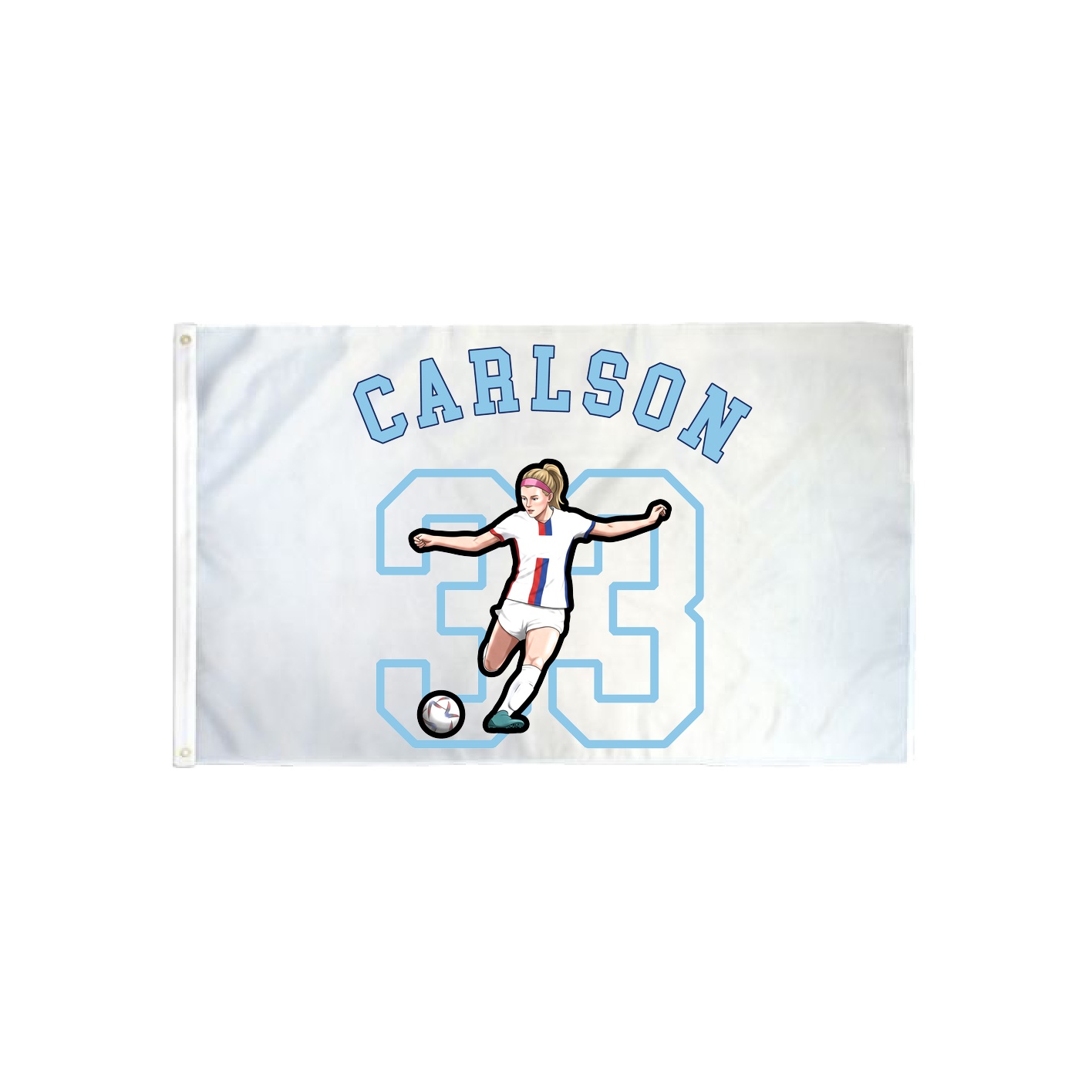 3x5 Flag — Shirsey Arch in Classic