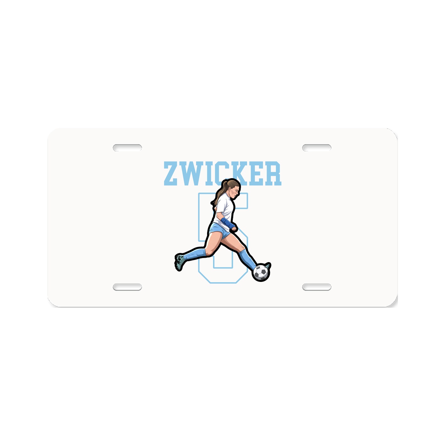 License Plate