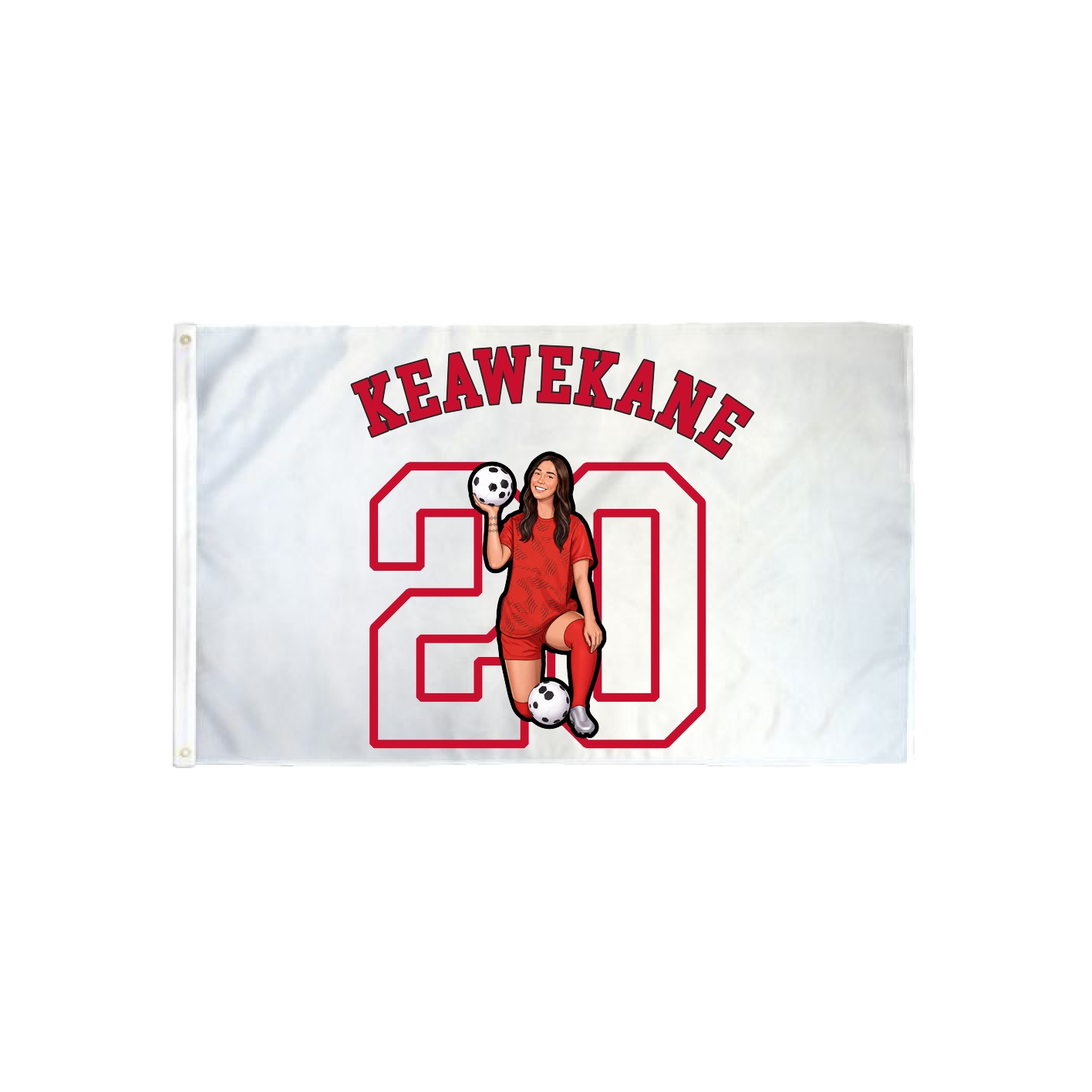 3x5 Flag — Shirsey Arch in Classic