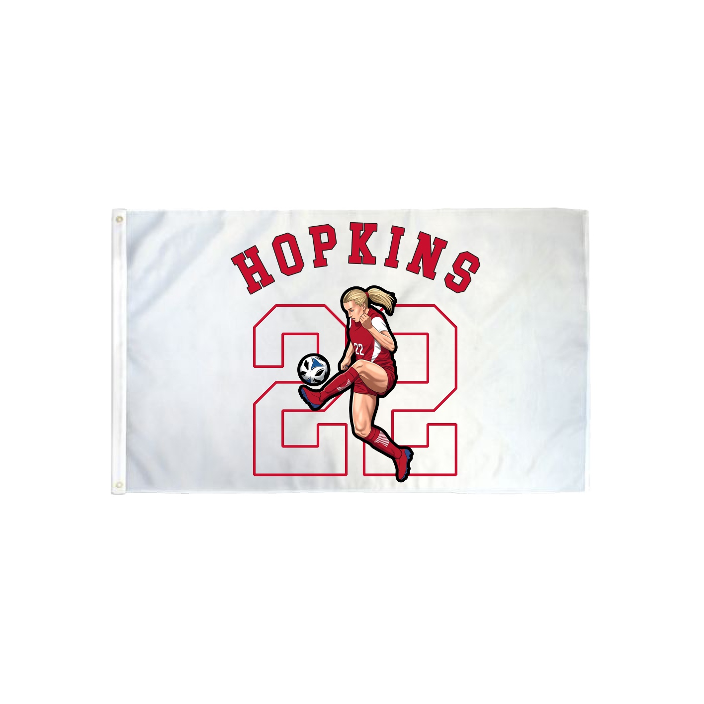 3x5 Flag — Shirsey Arch in Classic