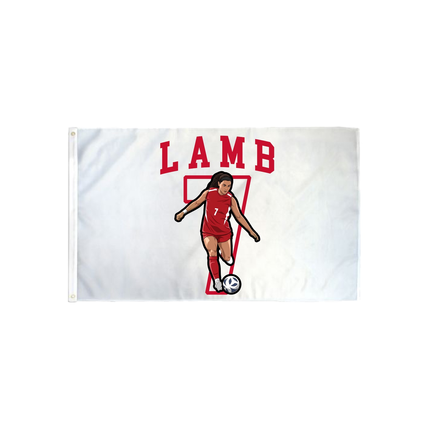 3x5 Flag — Shirsey in Classic