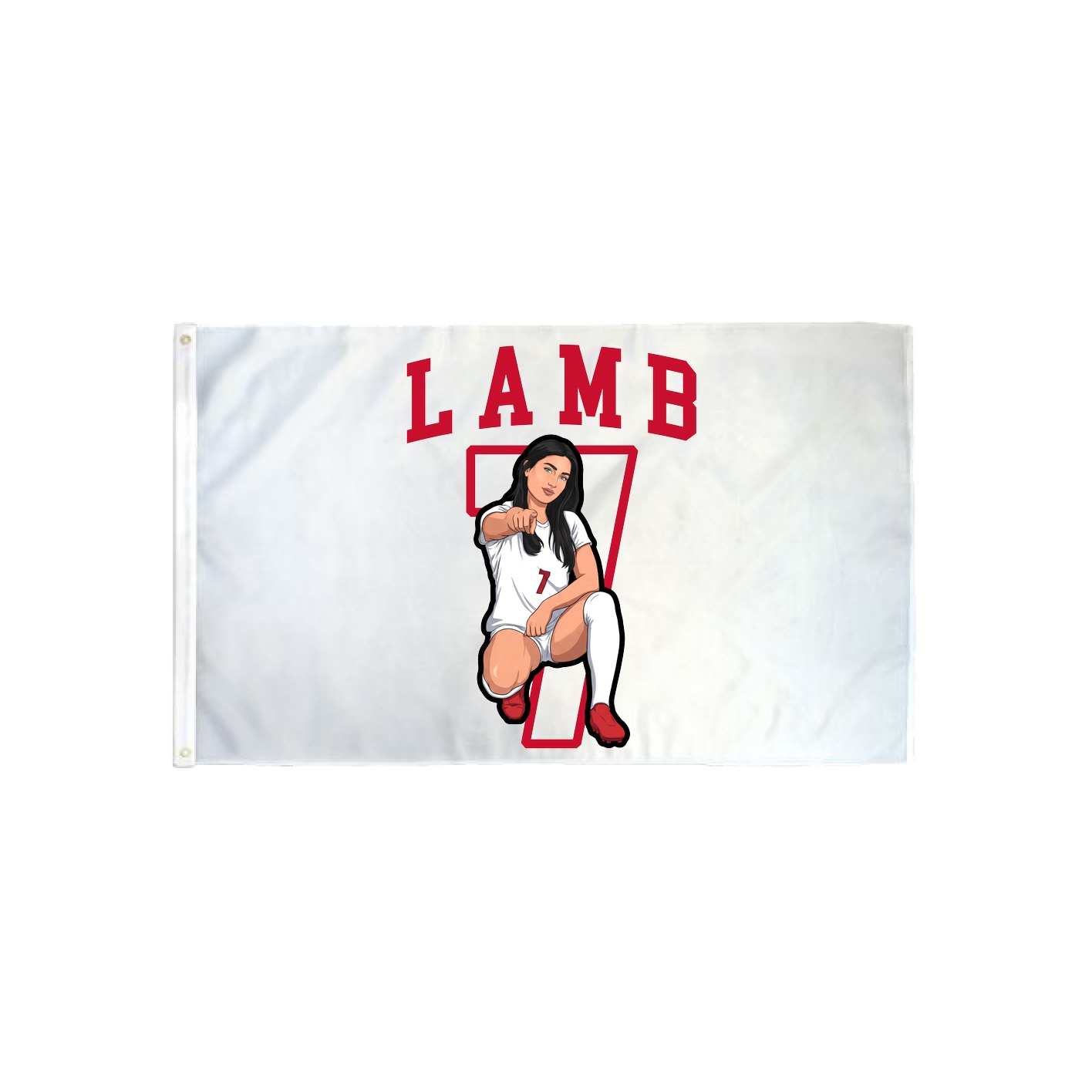 3x5 Flag — Shirsey in Classic
