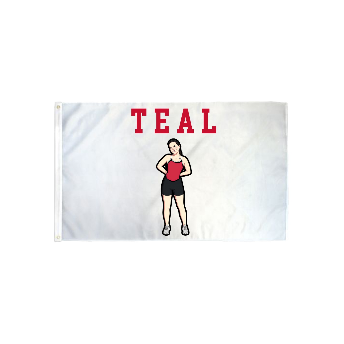 3x5 Flag — Shirsey in Classic