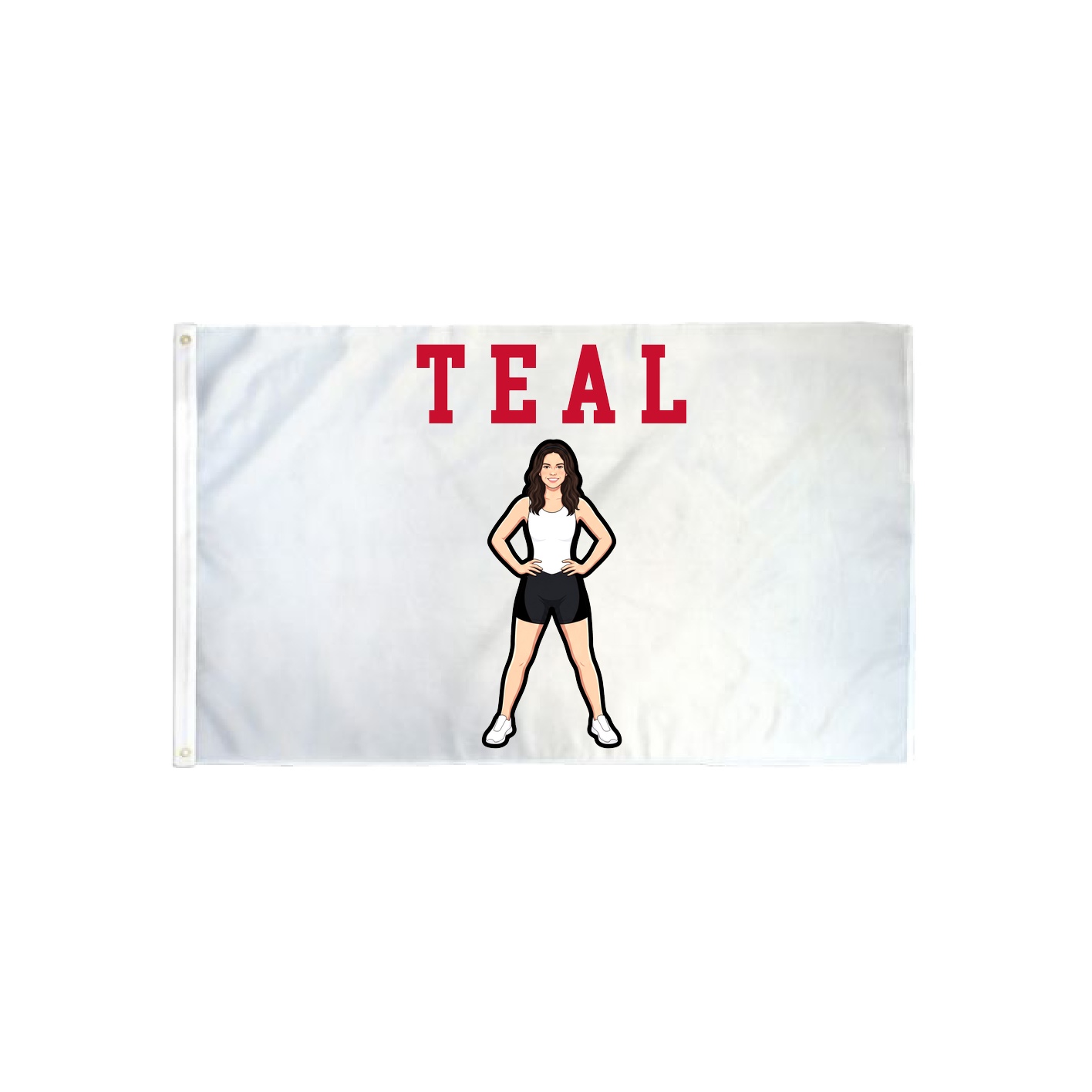 3x5 Flag — Shirsey in Classic