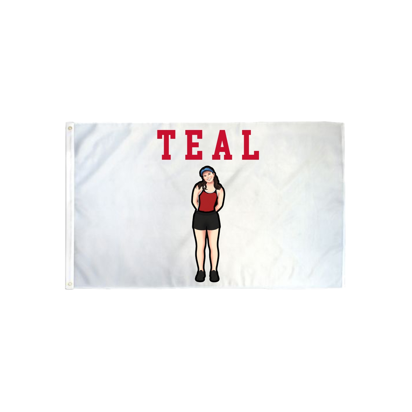 3x5 Flag — Shirsey in Classic
