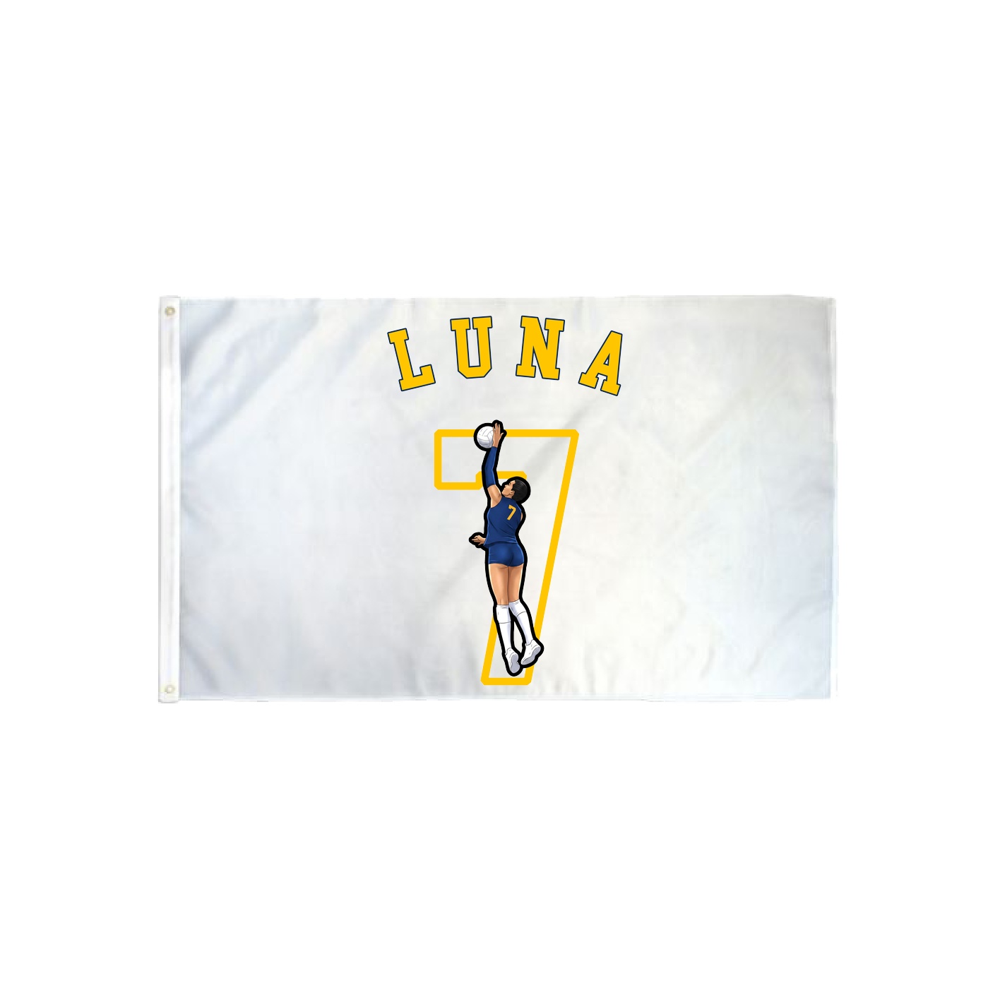 3x5 Flag — Shirsey Arch in Classic