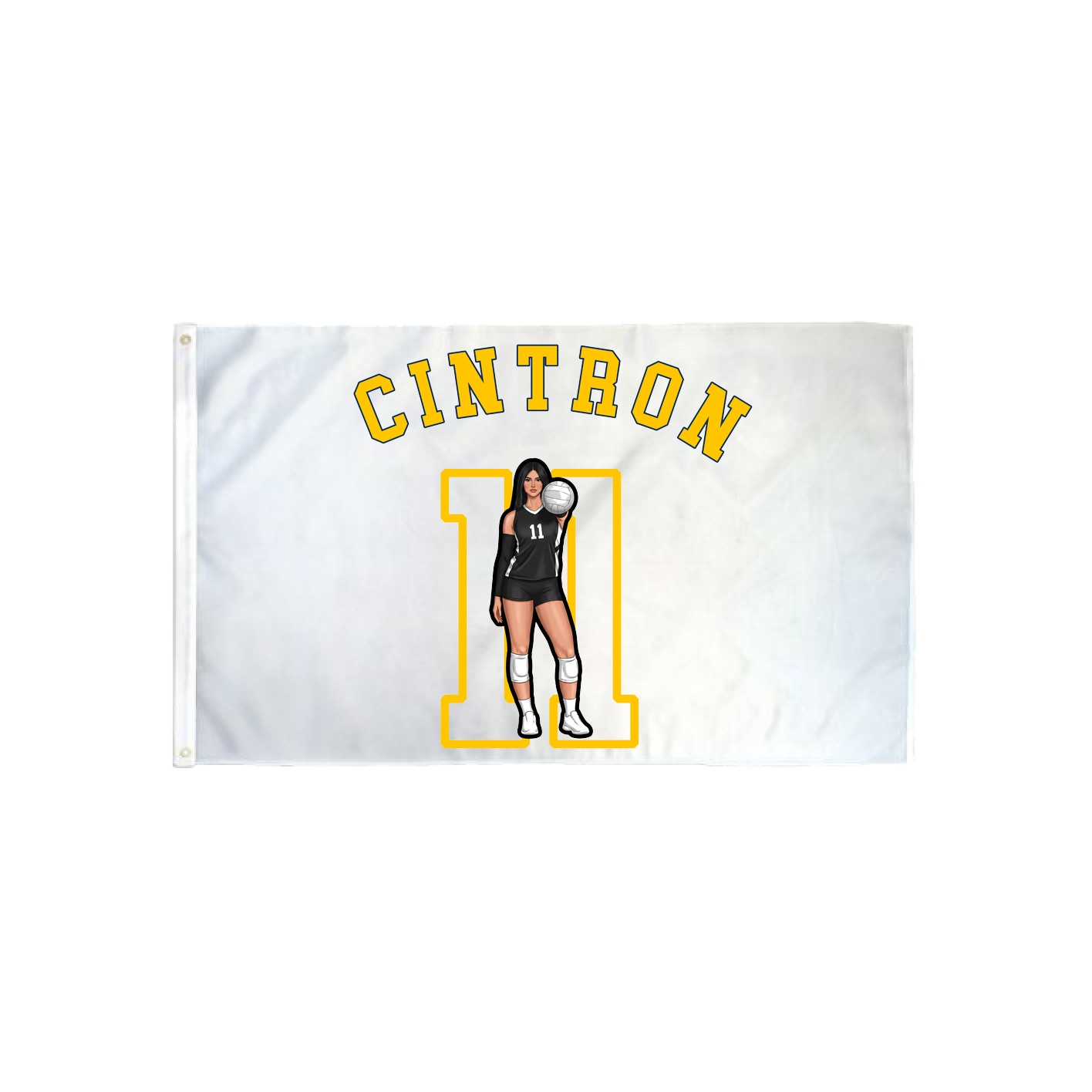 3x5 Flag — Shirsey Arch in Classic
