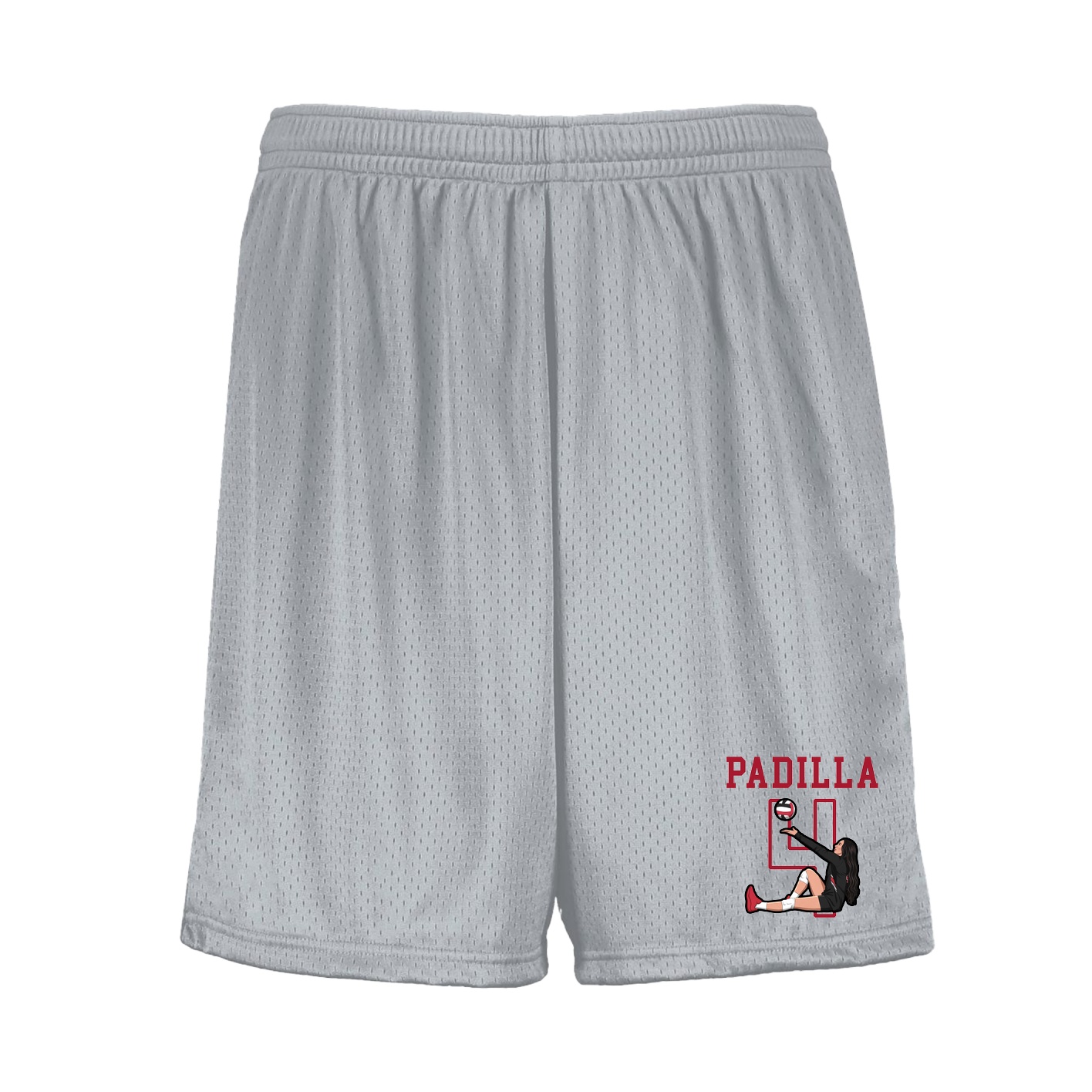 Shorts — Shirsey in Silver