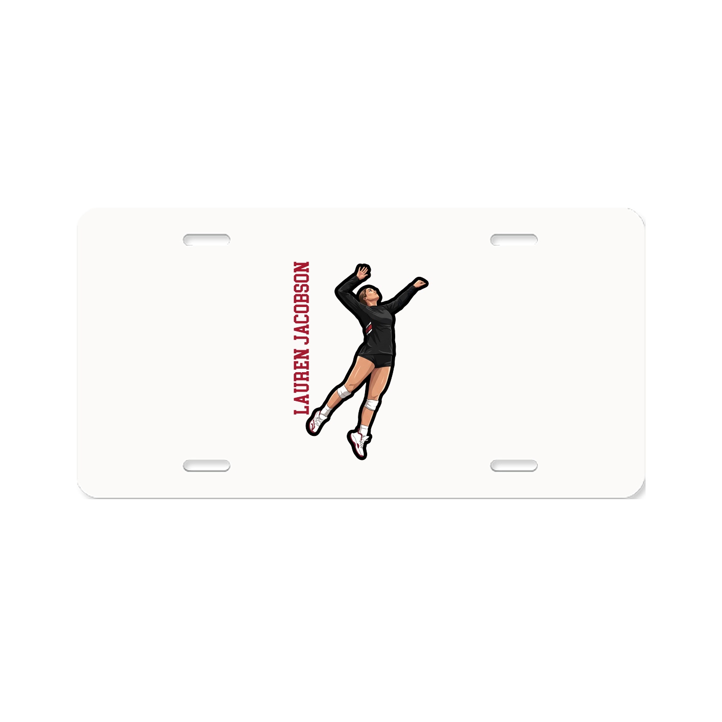 Aluminum License Plate