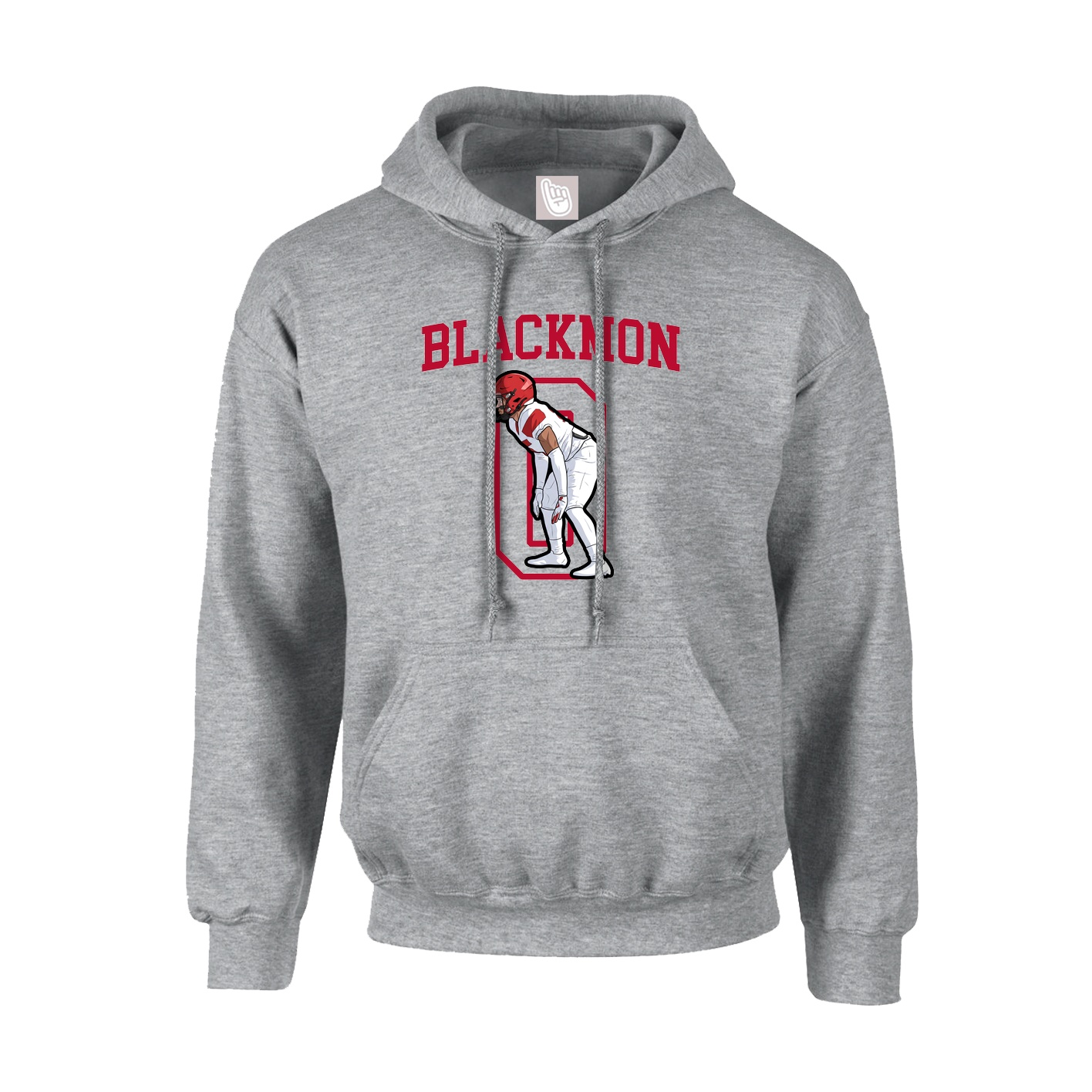 Hoodie — Shirsey in Grey