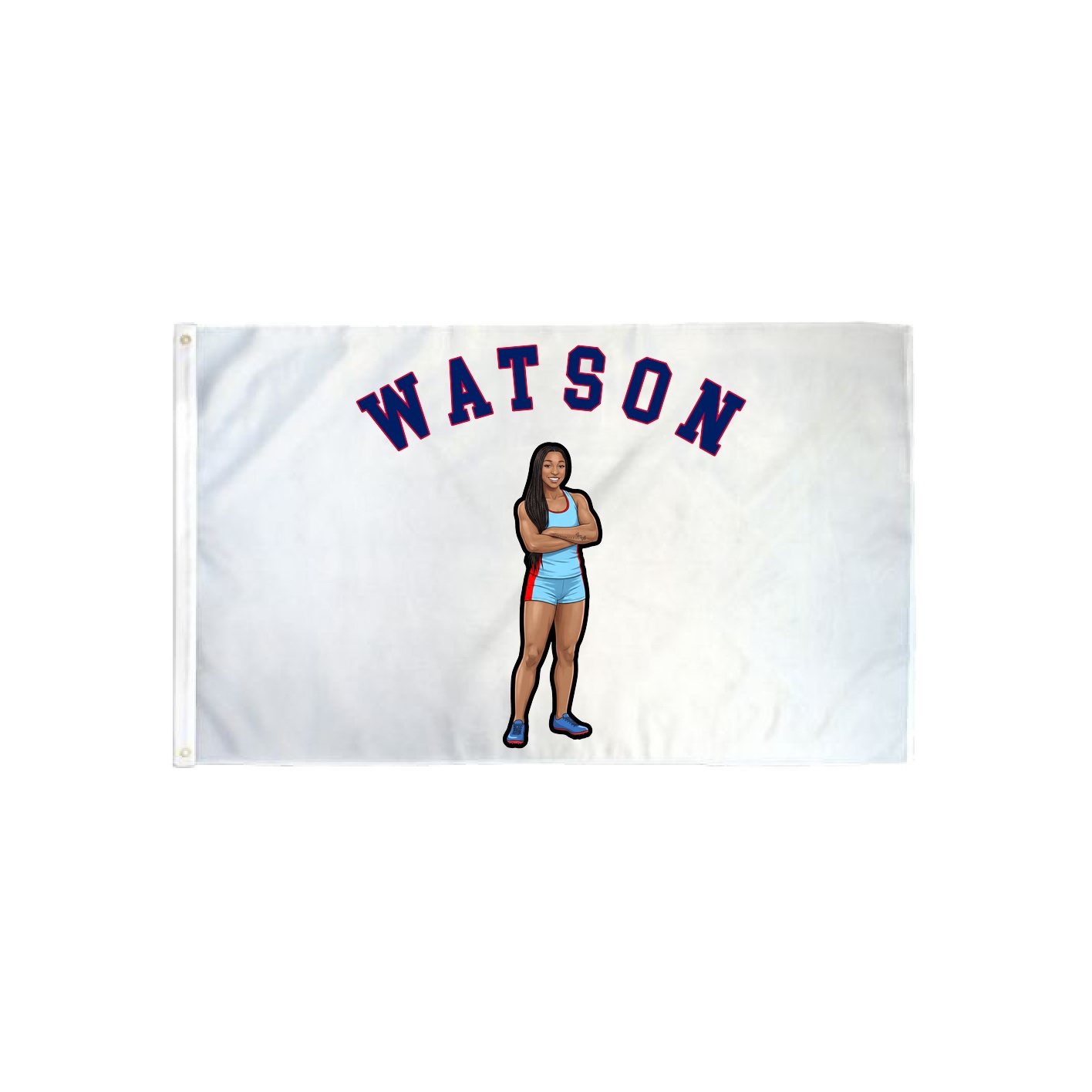 3x5 Flag — Shirsey Arch in Classic