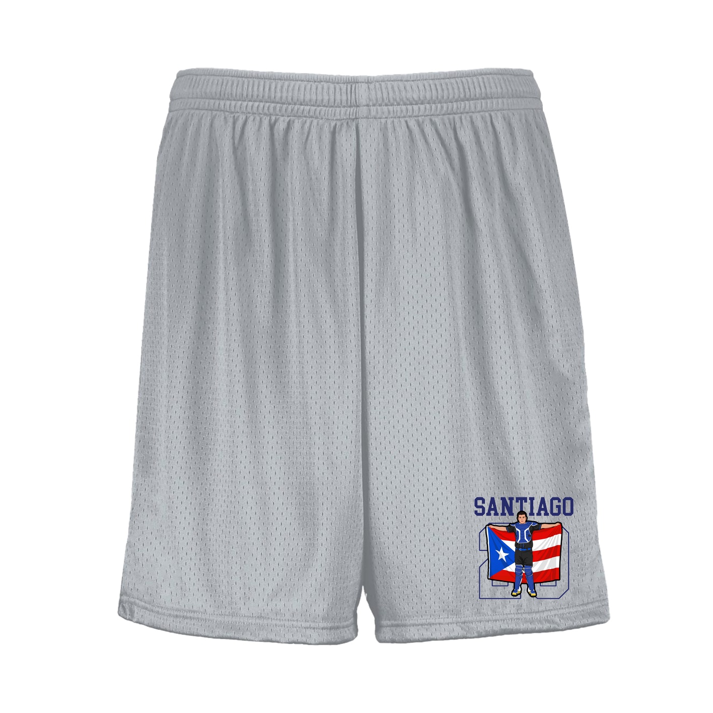 Shorts — Shirsey in Silver
