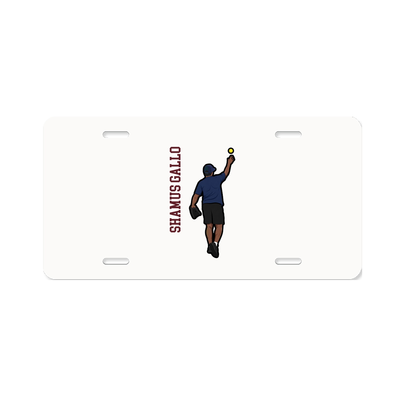 License Plate
