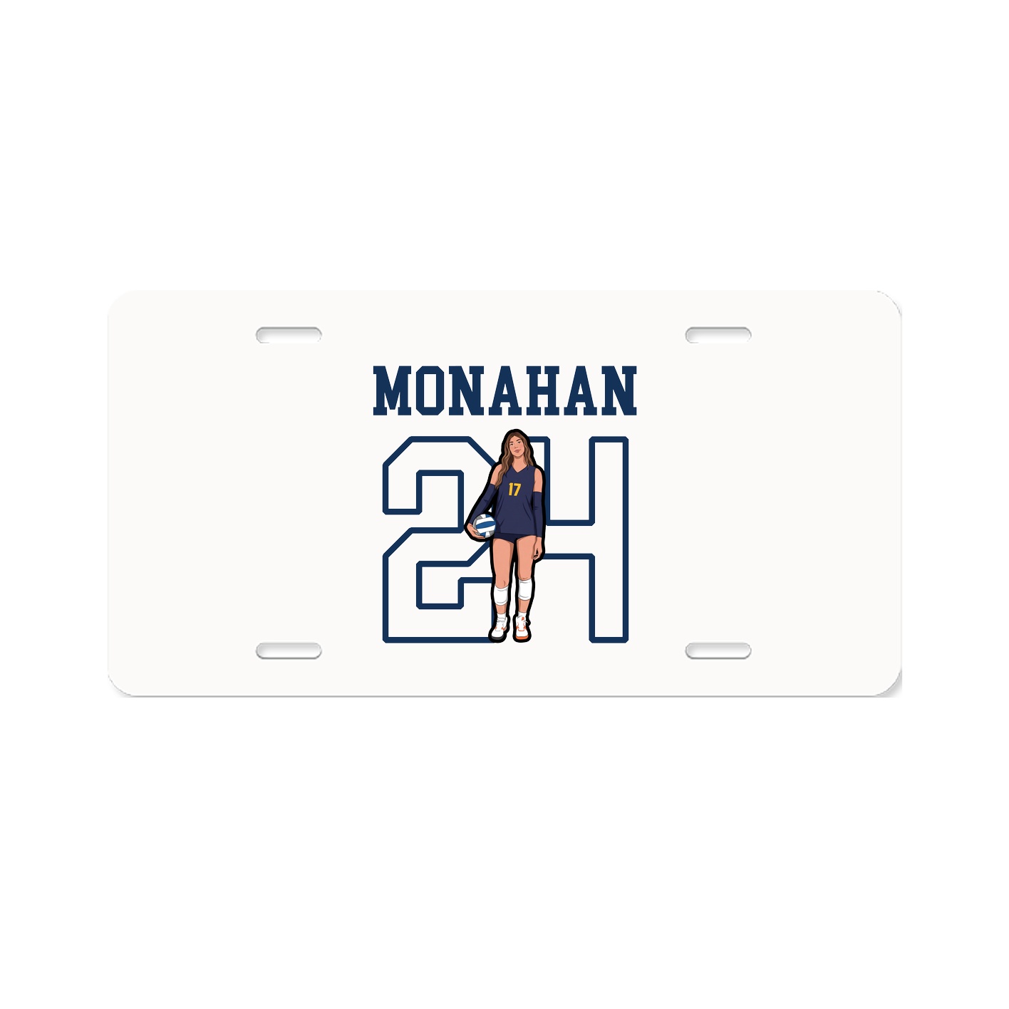 License Plate