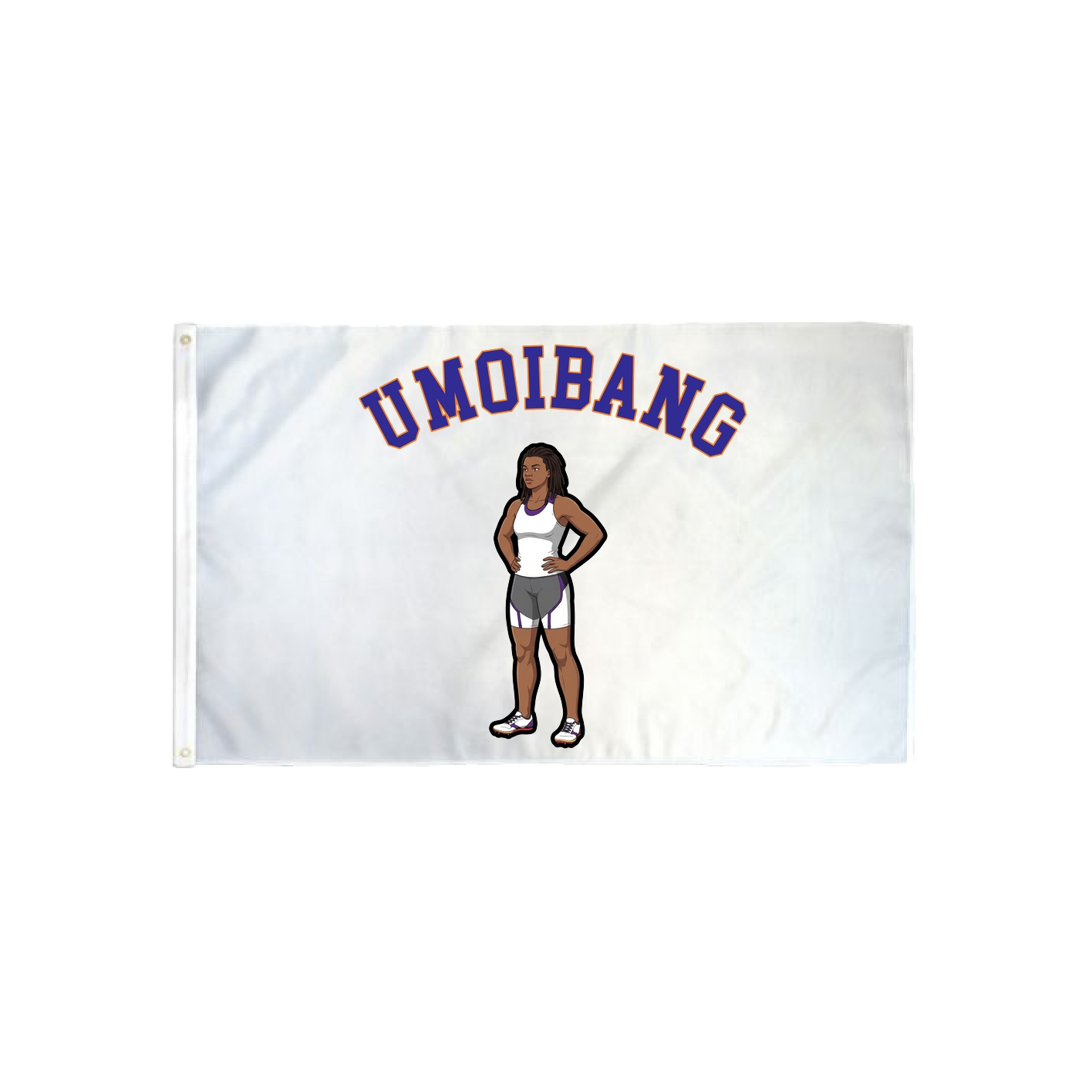 3x5 Flag — Shirsey Arch in Classic