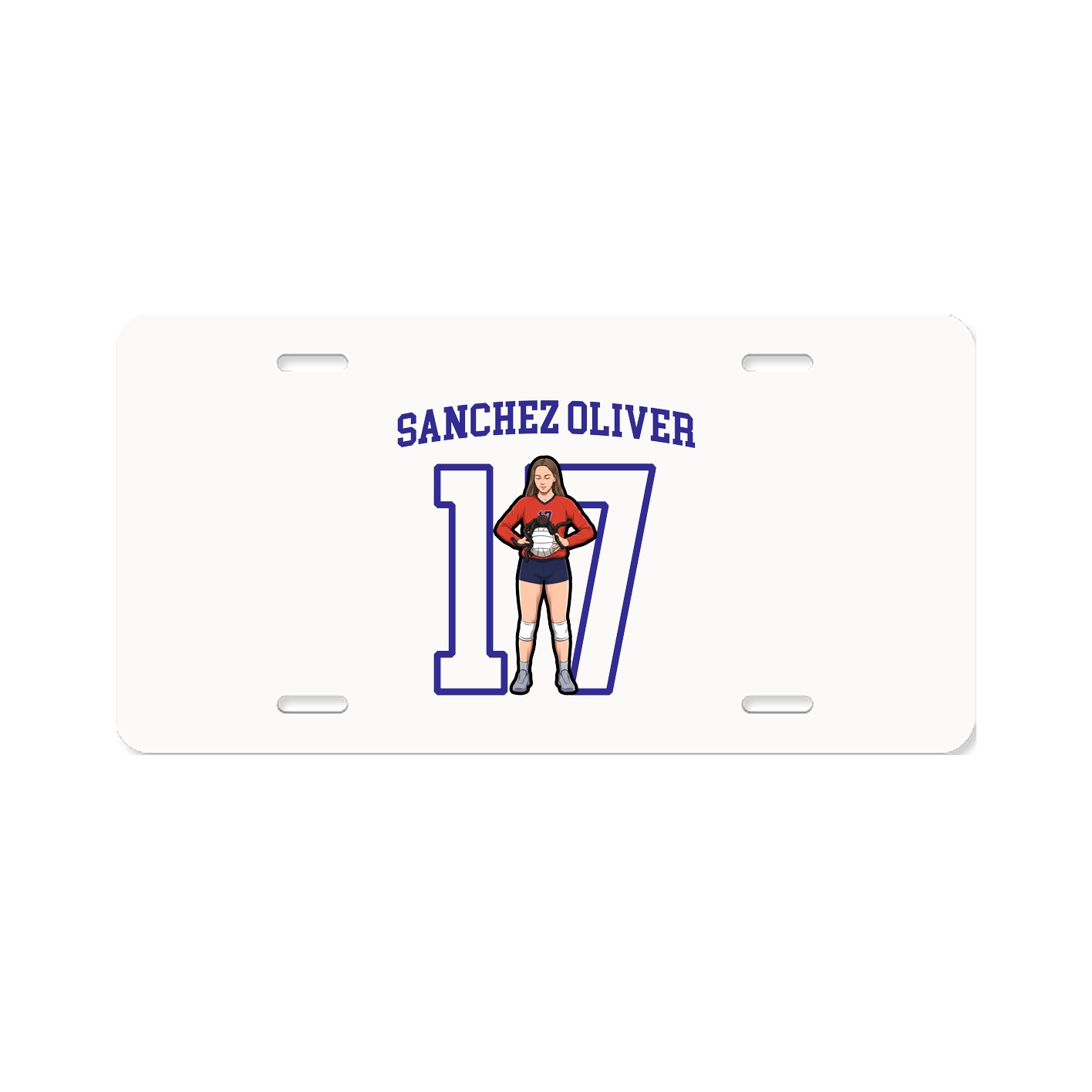 Aluminum License Plate