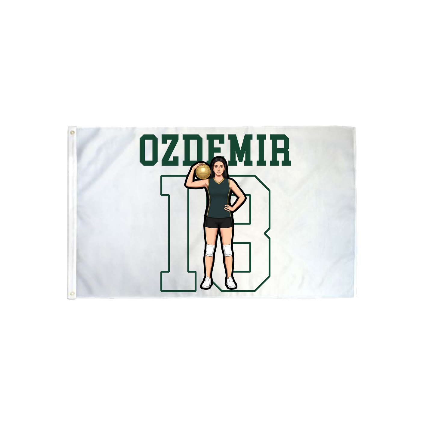 3x5 Flag — Shirsey in Classic