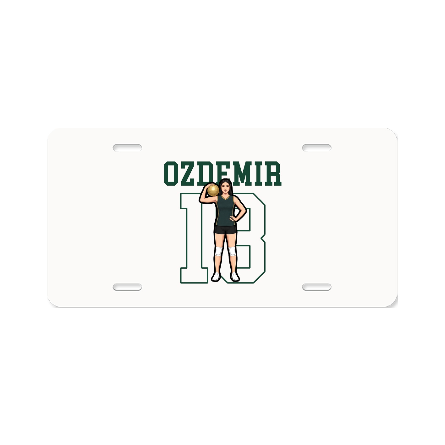 License Plate