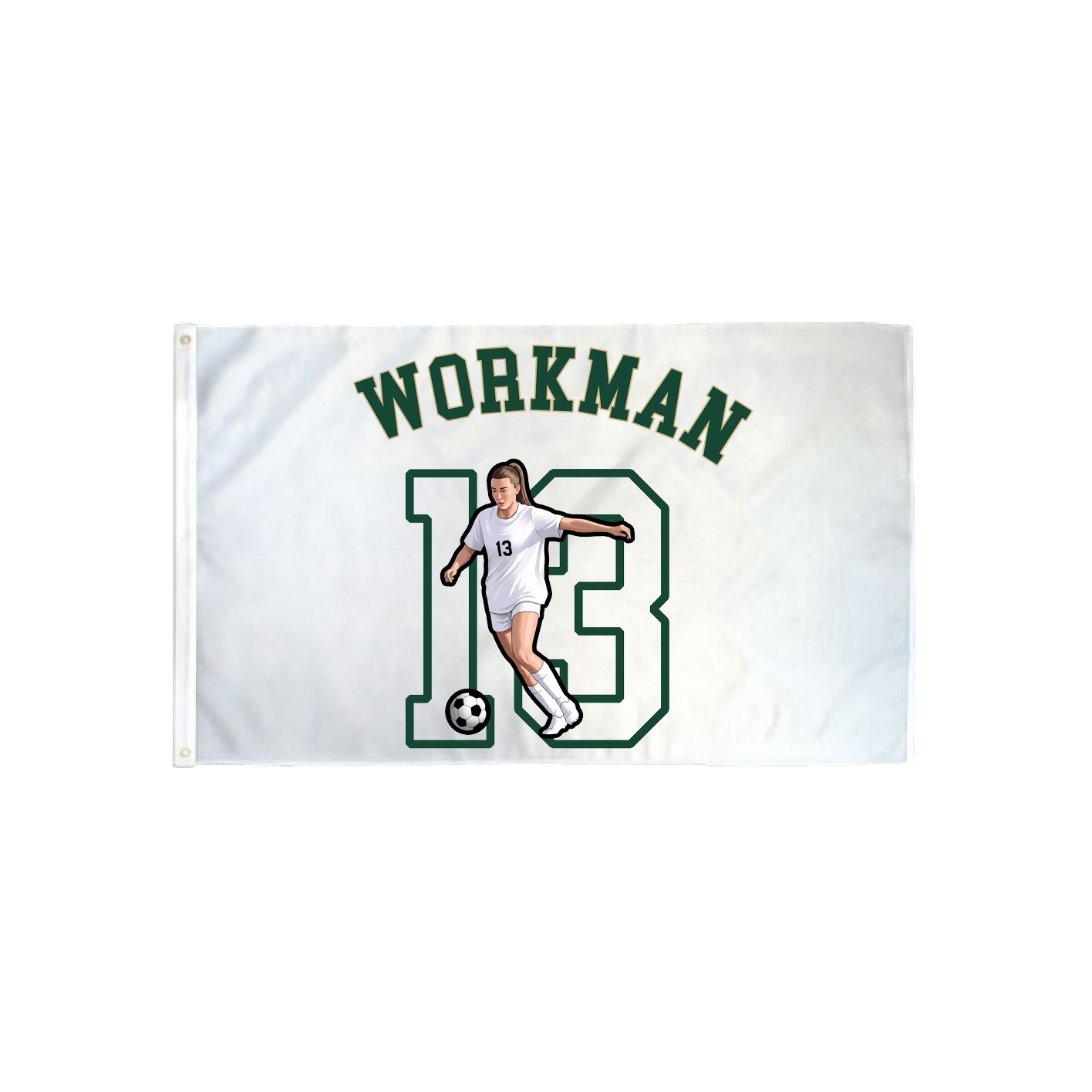 3x5 Flag — Shirsey Arch in Classic