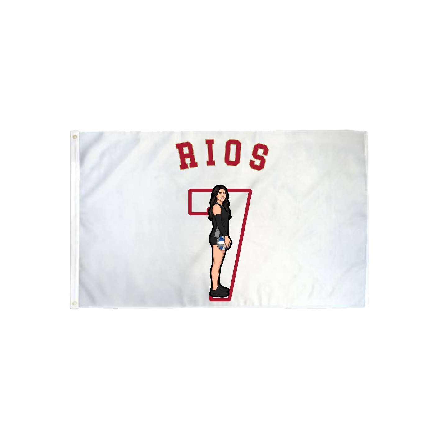 3x5 Flag — Shirsey Arch in Classic