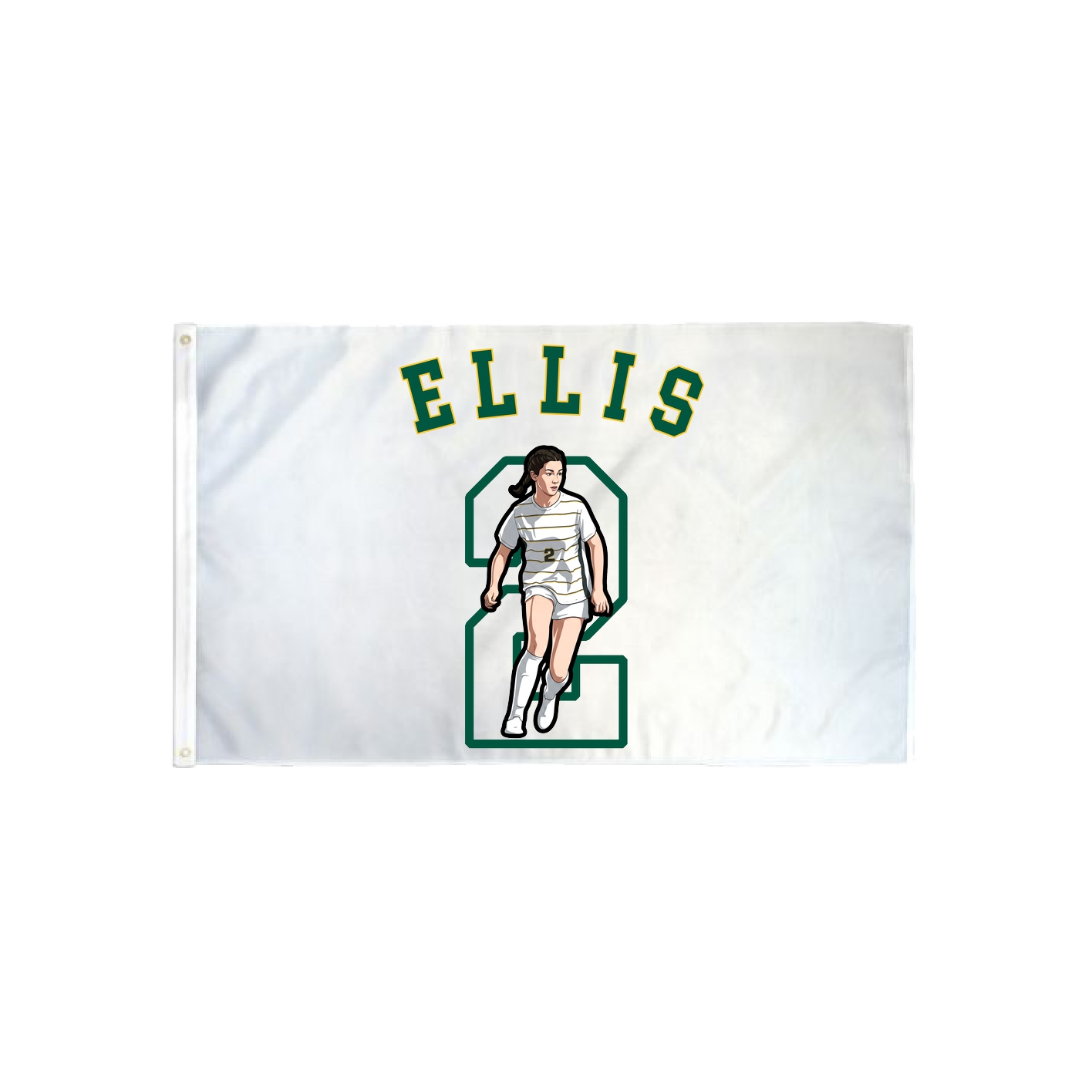 3x5 Flag — Shirsey Arch in Classic