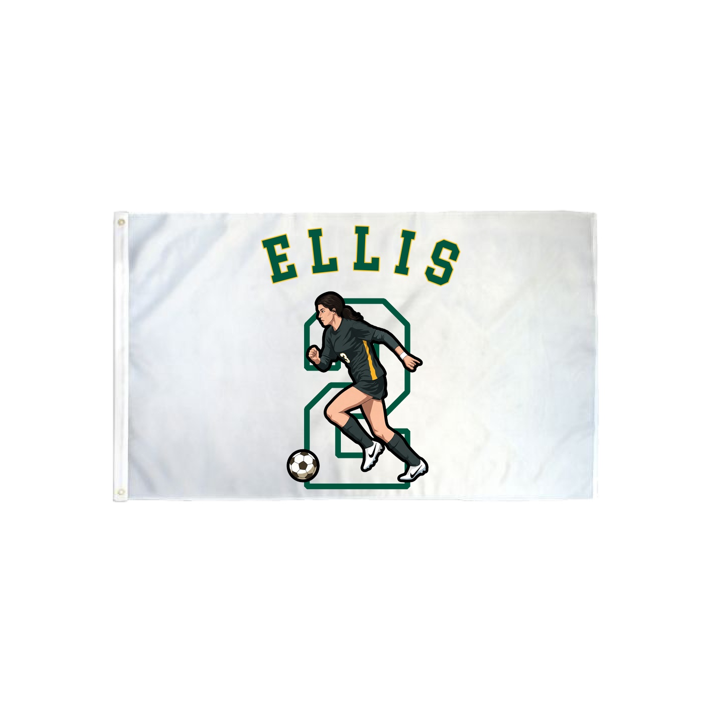 3x5 Flag — Shirsey Arch in Classic
