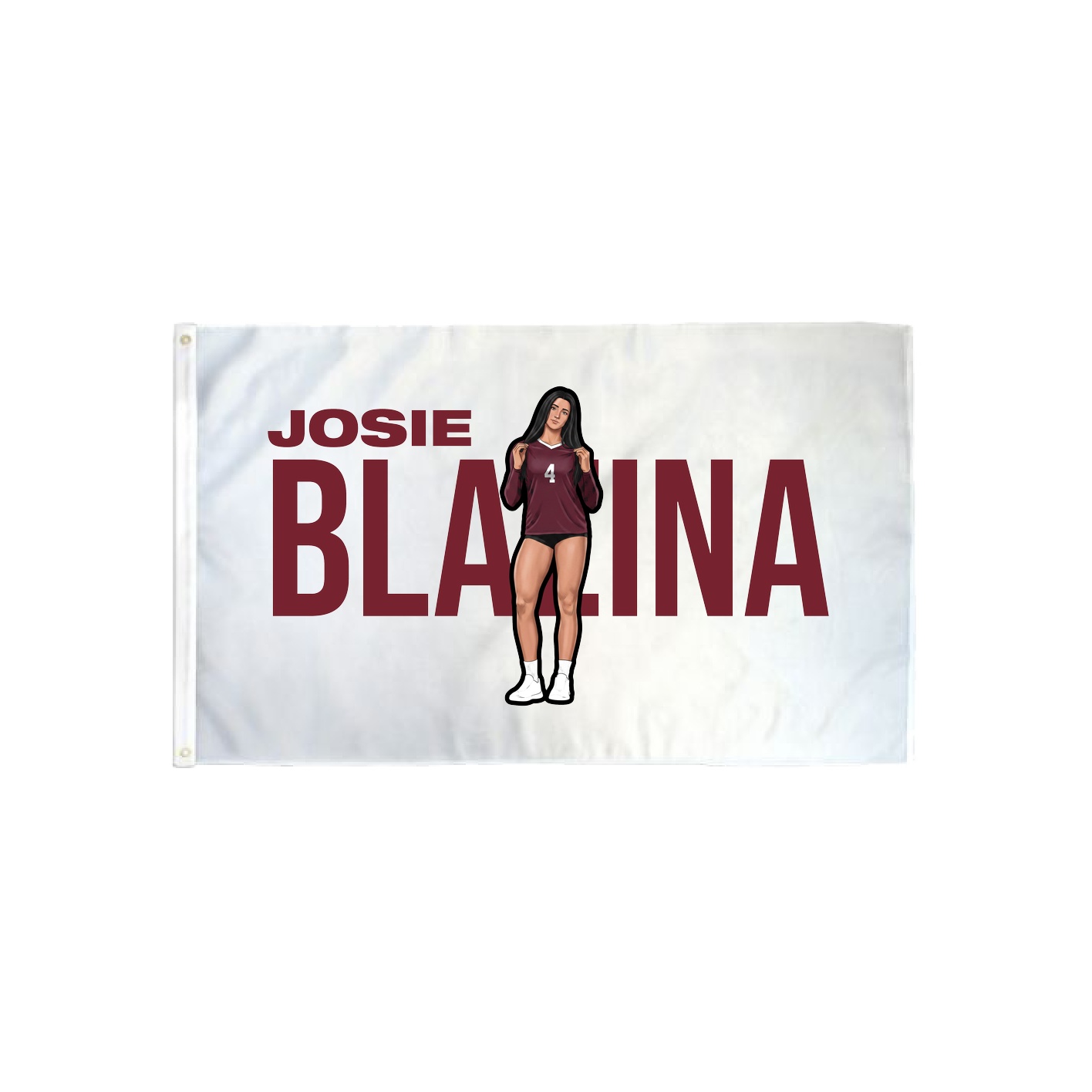 3x5 Flag