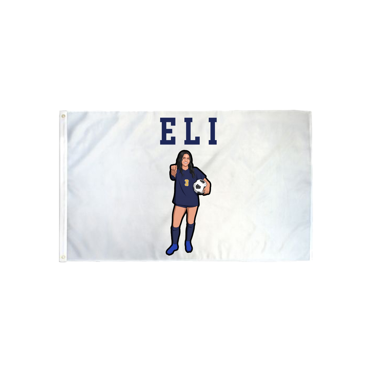3x5 Flag — Shirsey in Classic