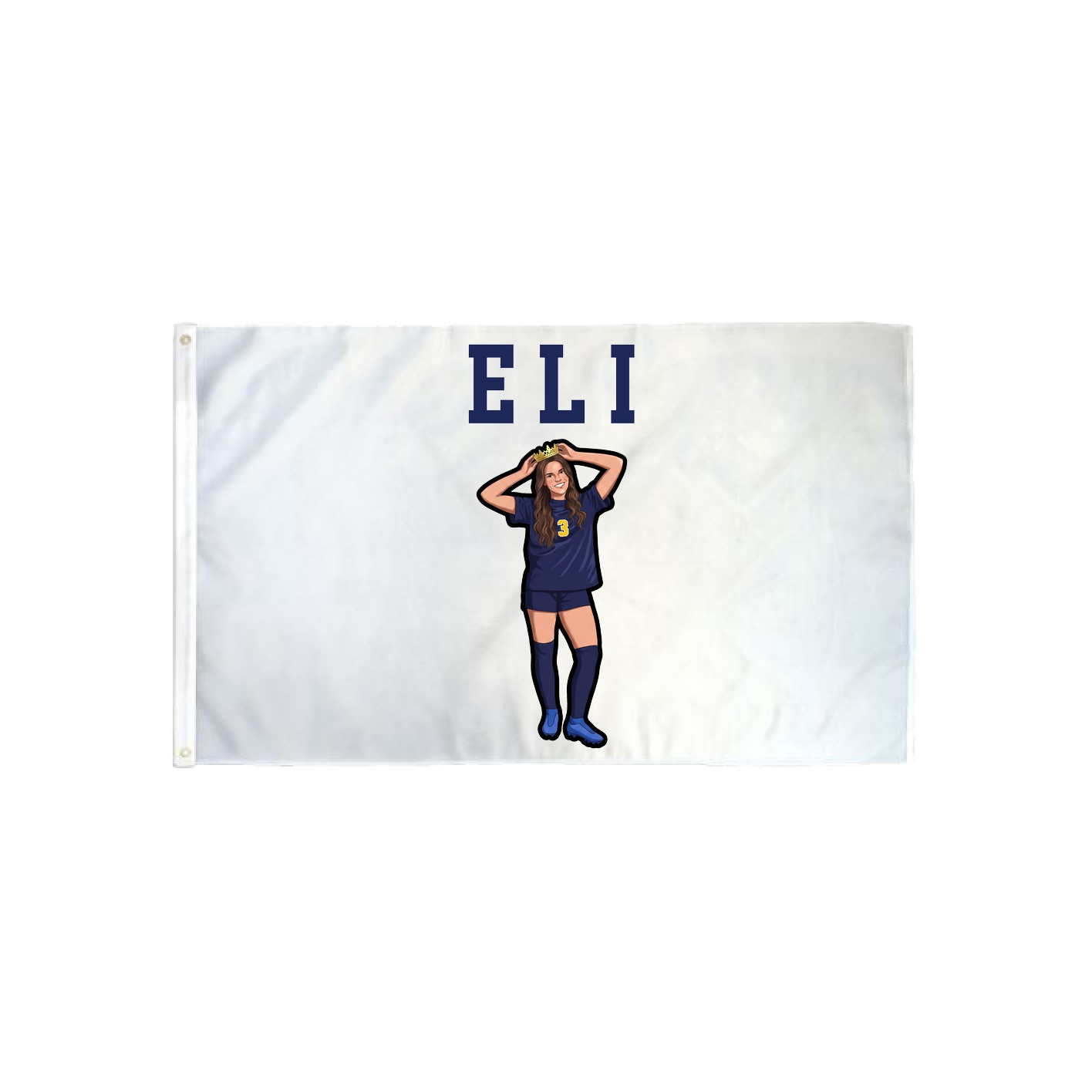 3x5 Flag — Shirsey in Classic