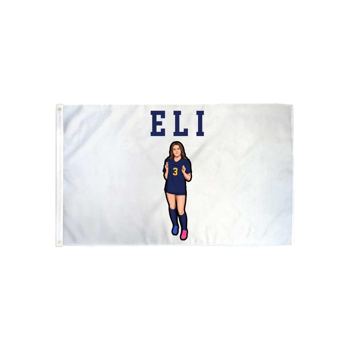 3x5 Flag — Shirsey in Classic