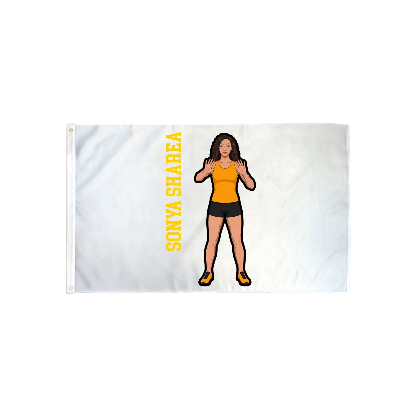 3x5 Flag
