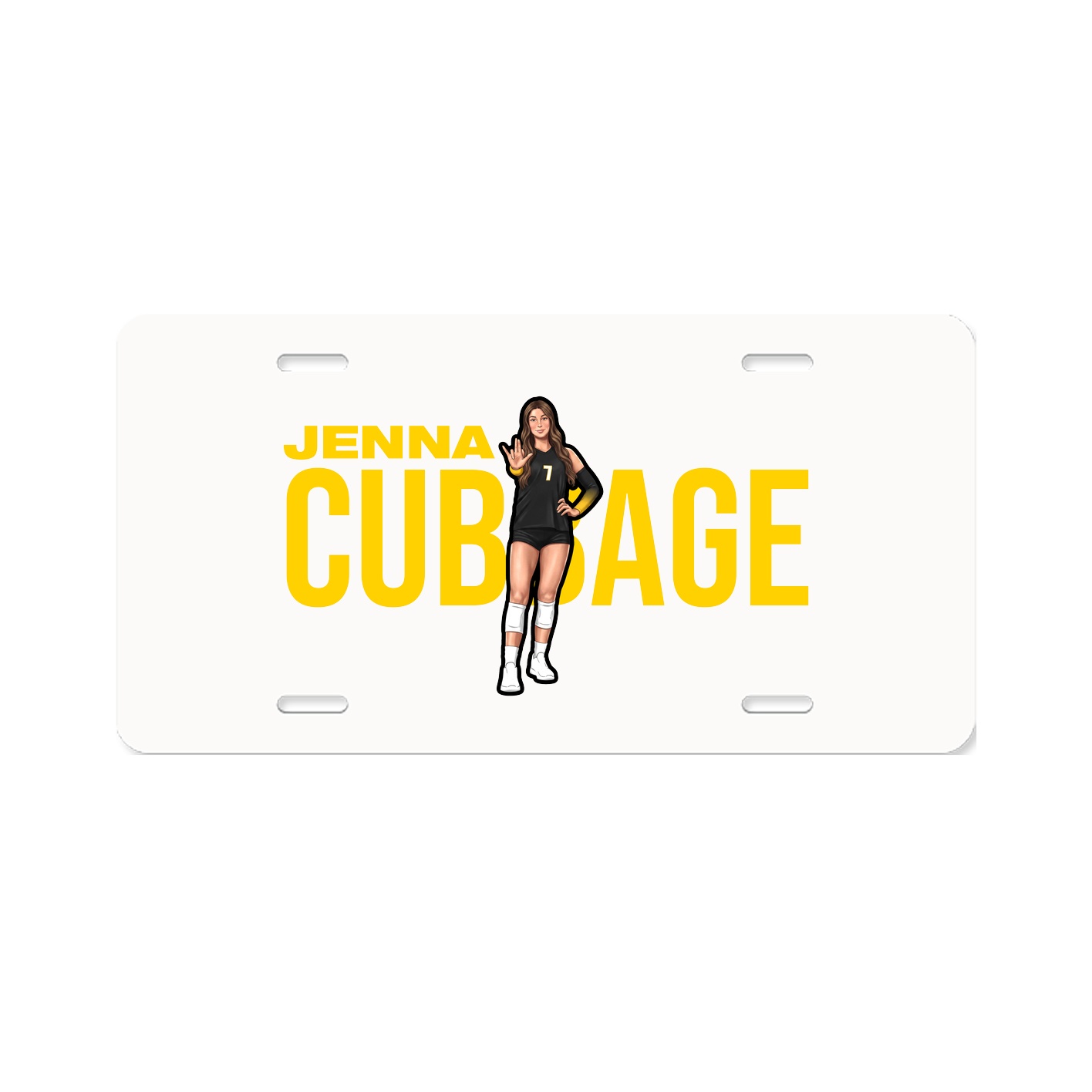License Plate