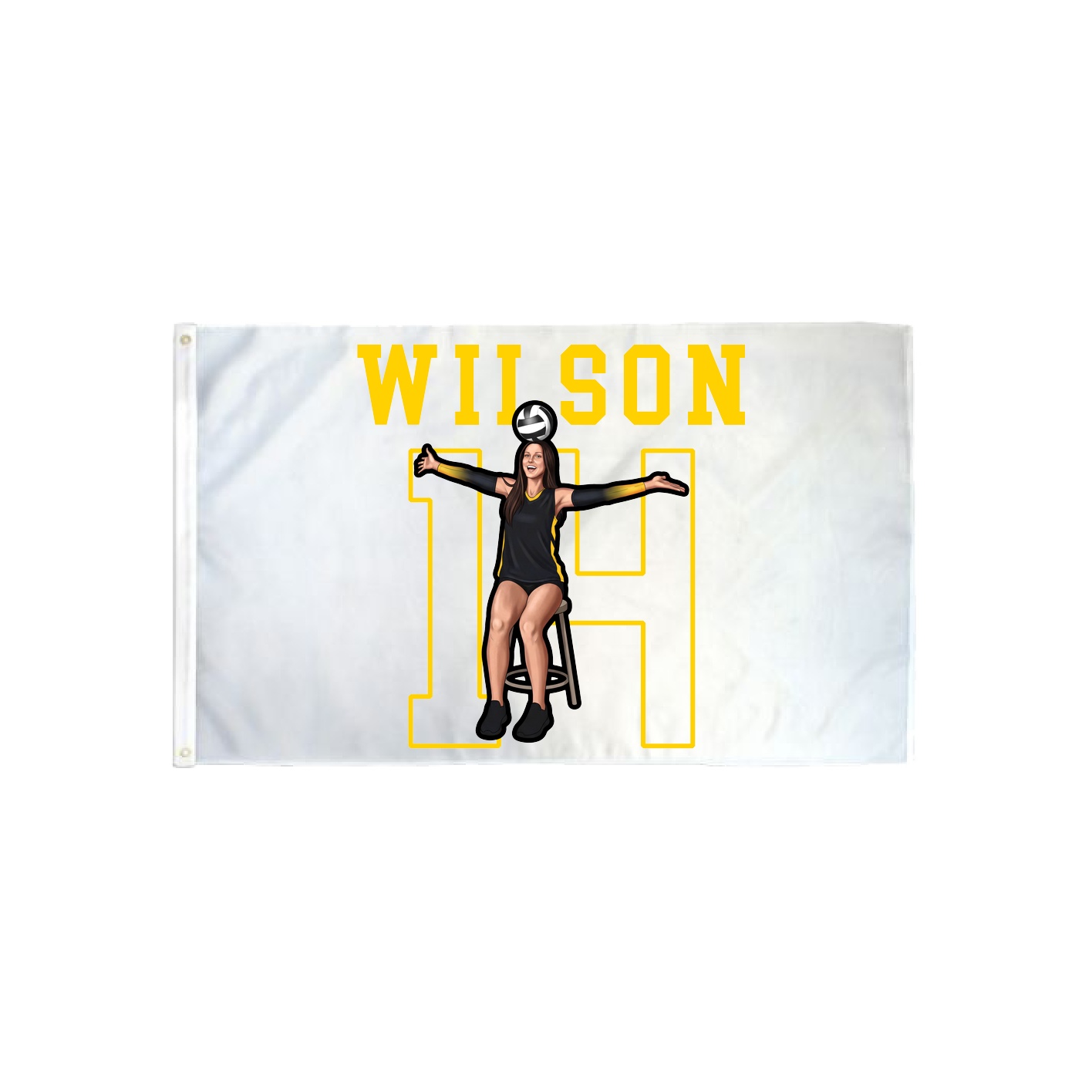 3x5 Flag — Shirsey in Classic