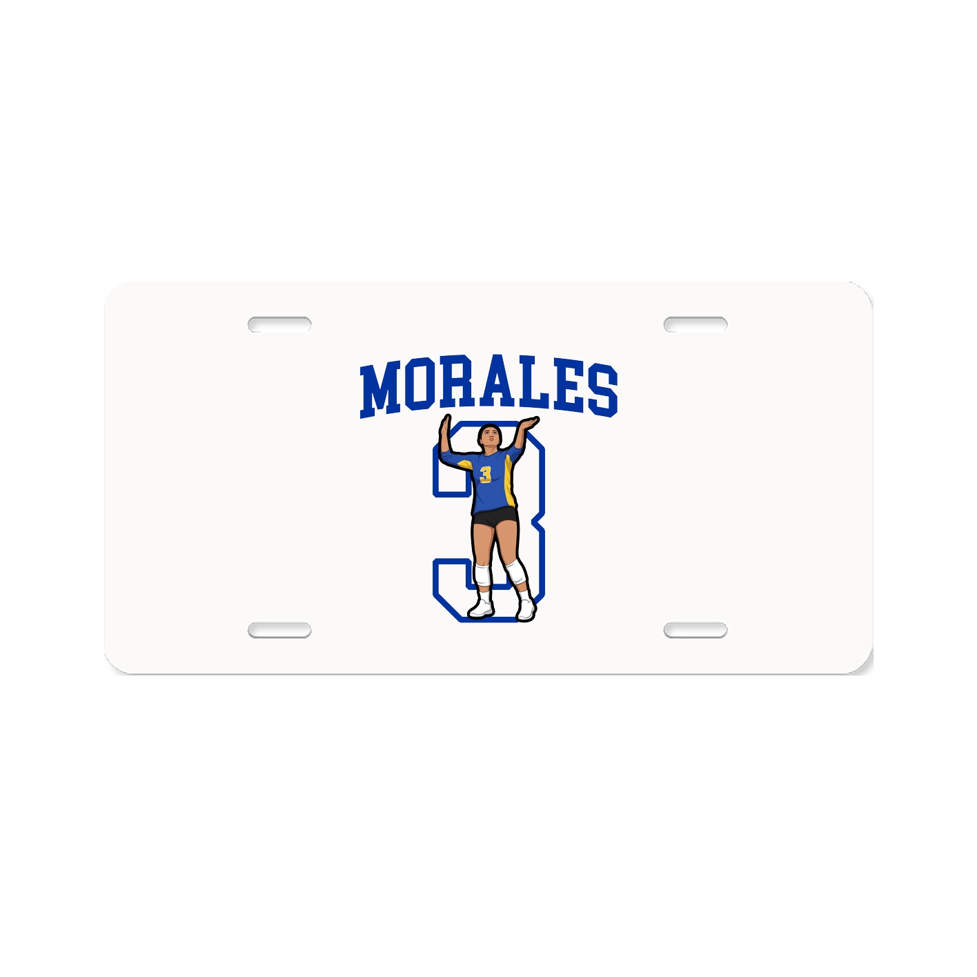 License Plate