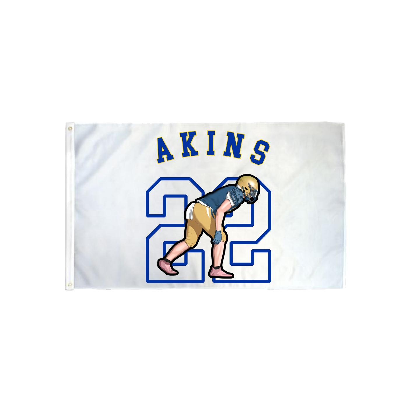 3x5 Flag — Shirsey Arch in Classic