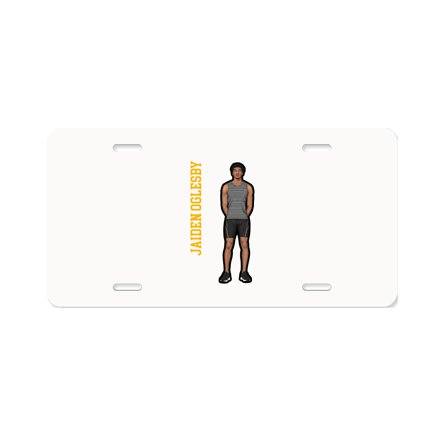 Aluminum License Plate