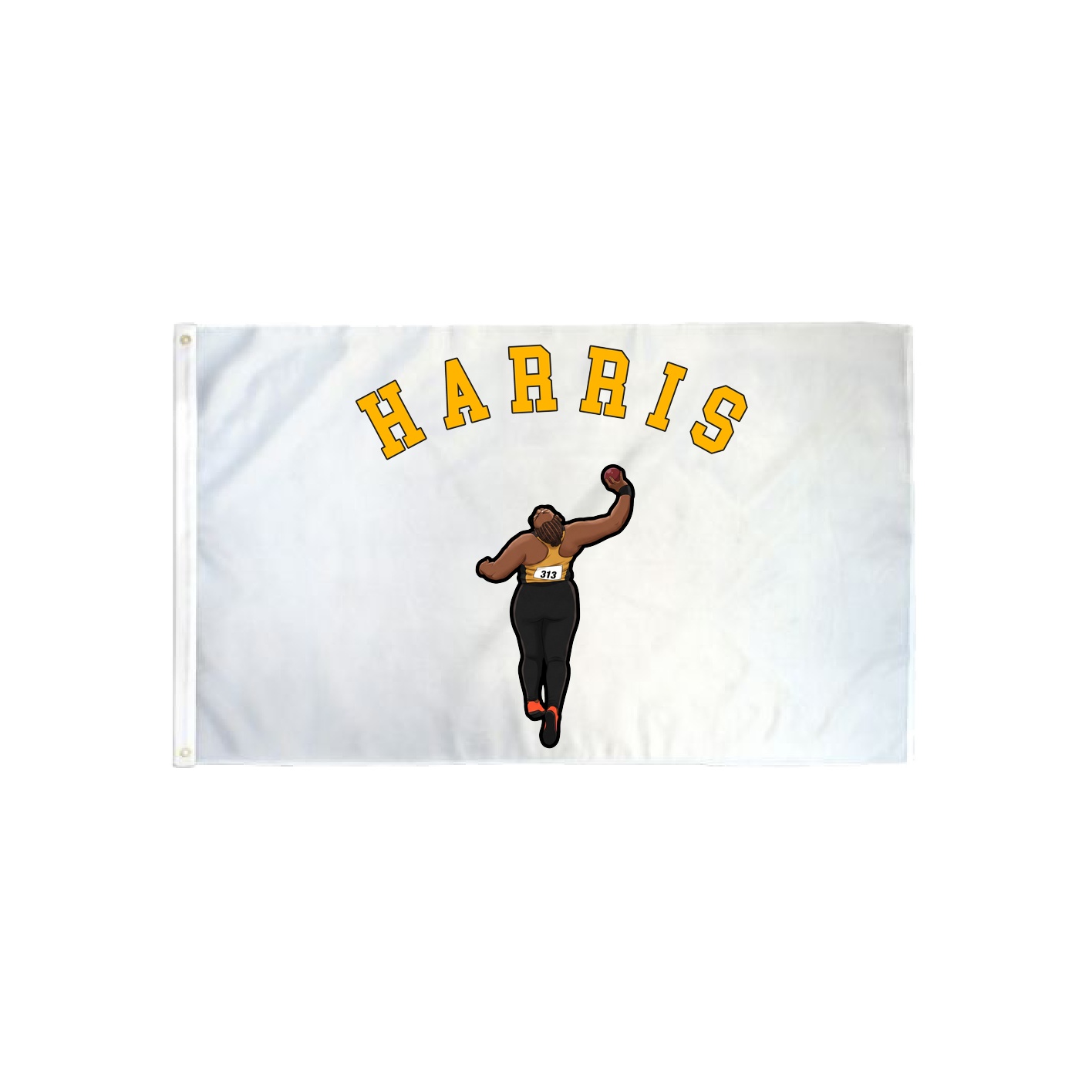 3x5 Flag — Shirsey Arch in Classic