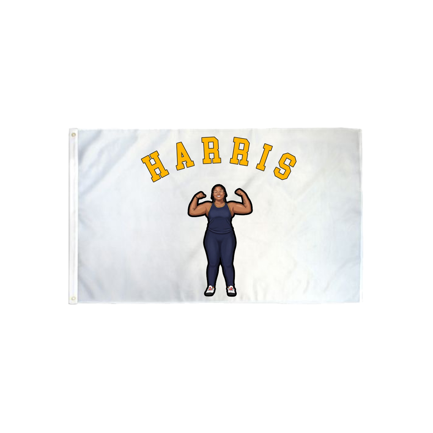 3x5 Flag — Shirsey Arch in Classic