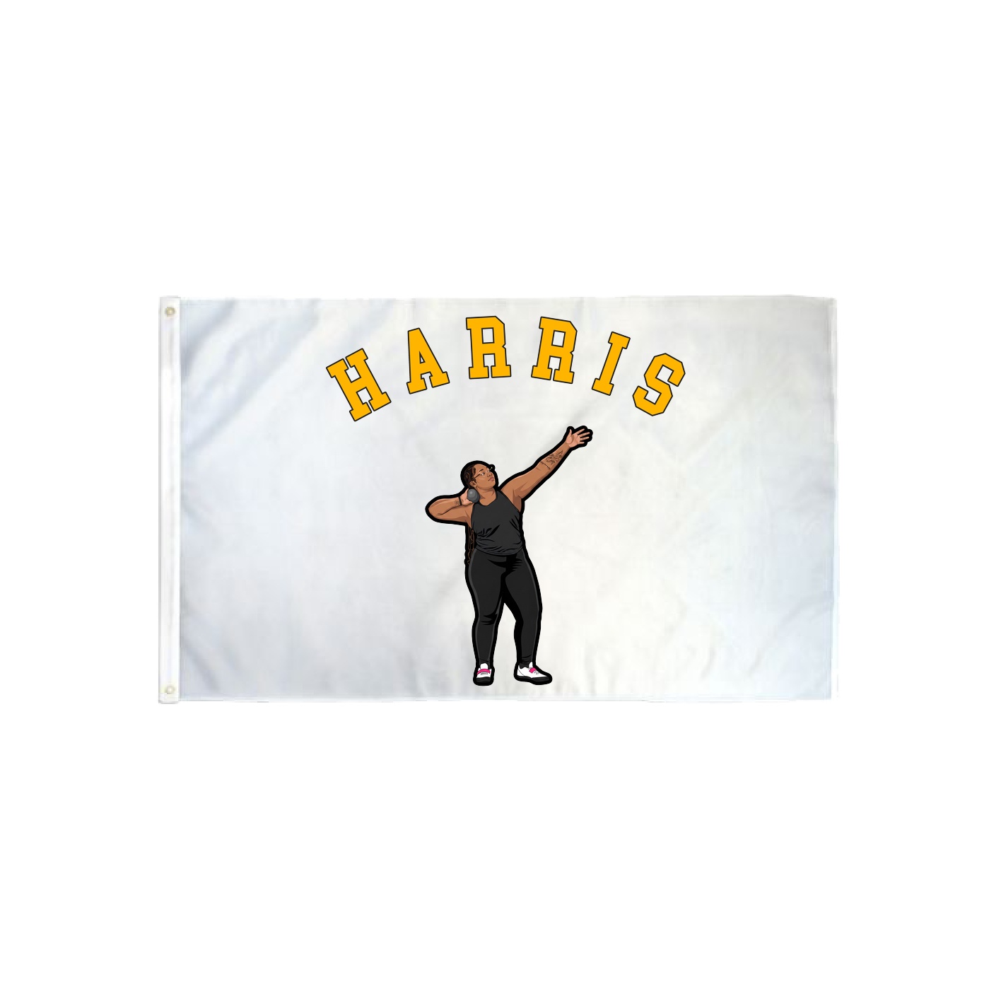 3x5 Flag — Shirsey Arch in Classic