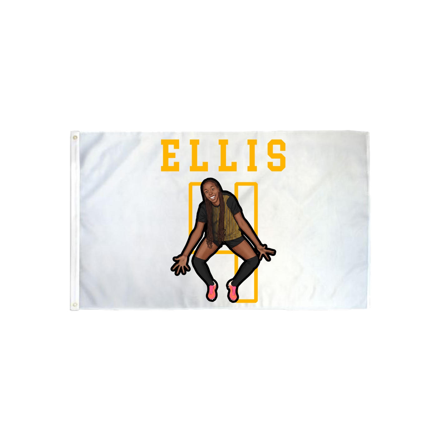 3x5 Flag — Shirsey in Classic
