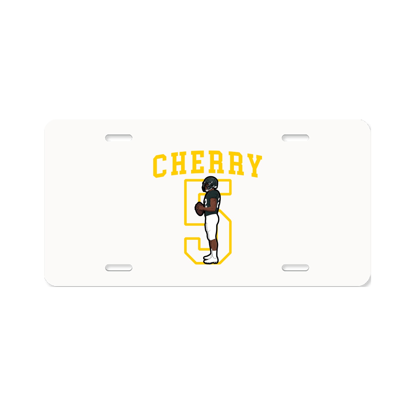 Aluminum License Plate