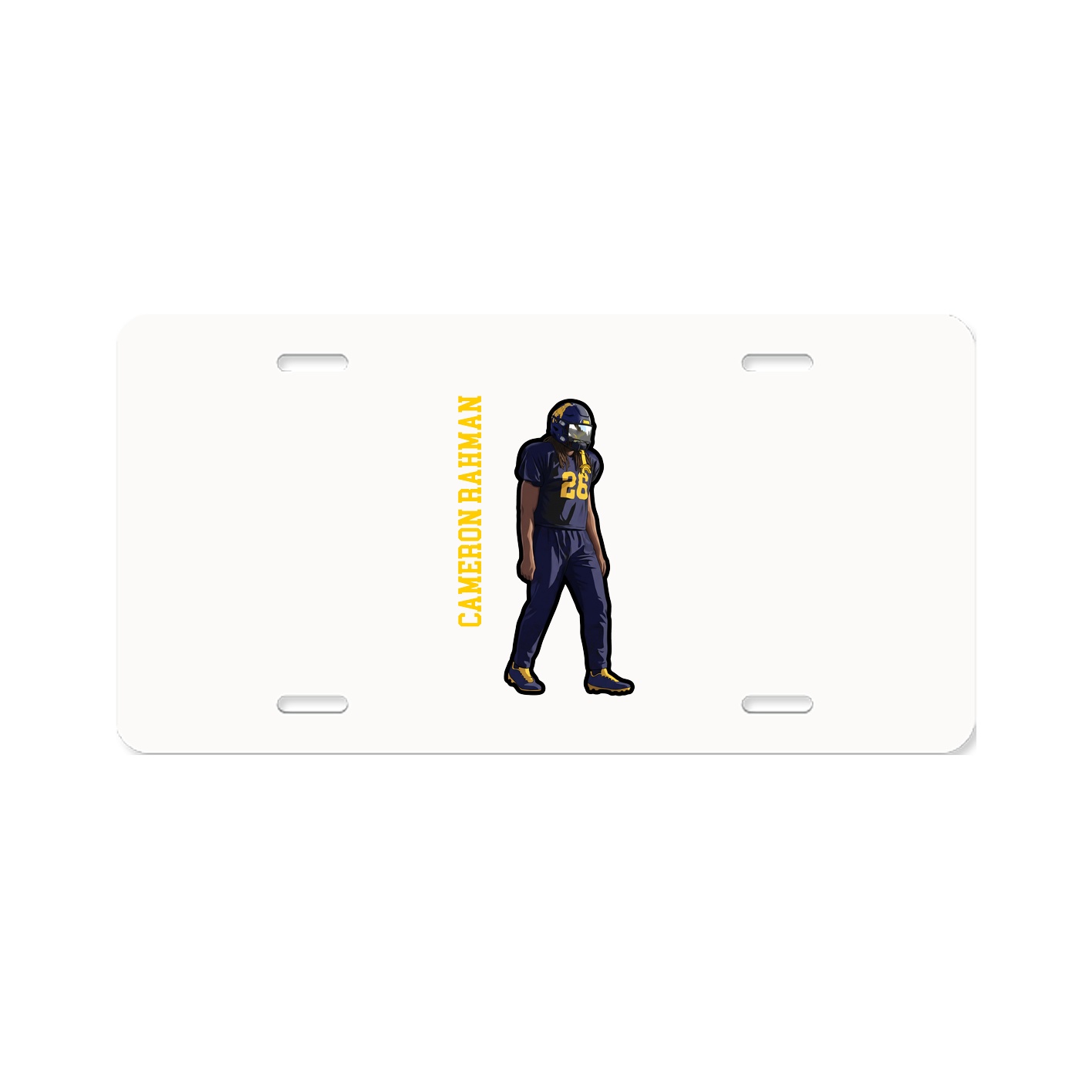 Aluminum License Plate