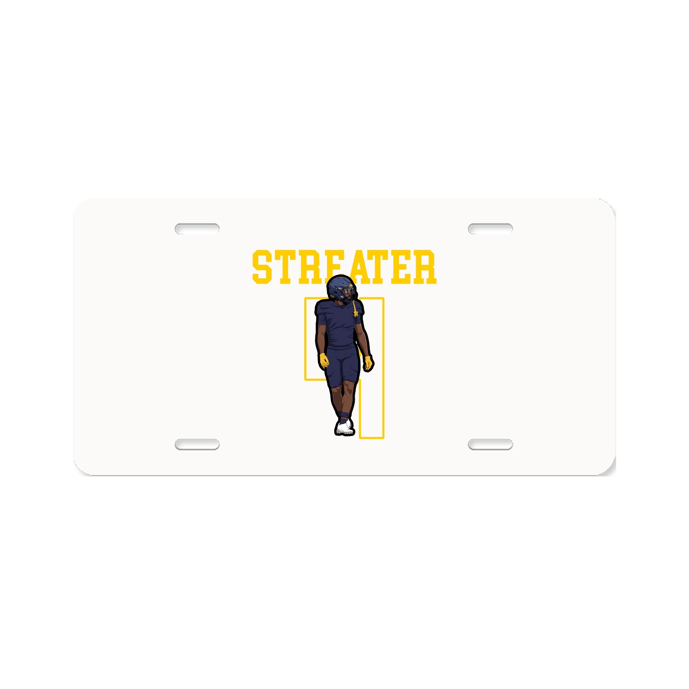 License Plate